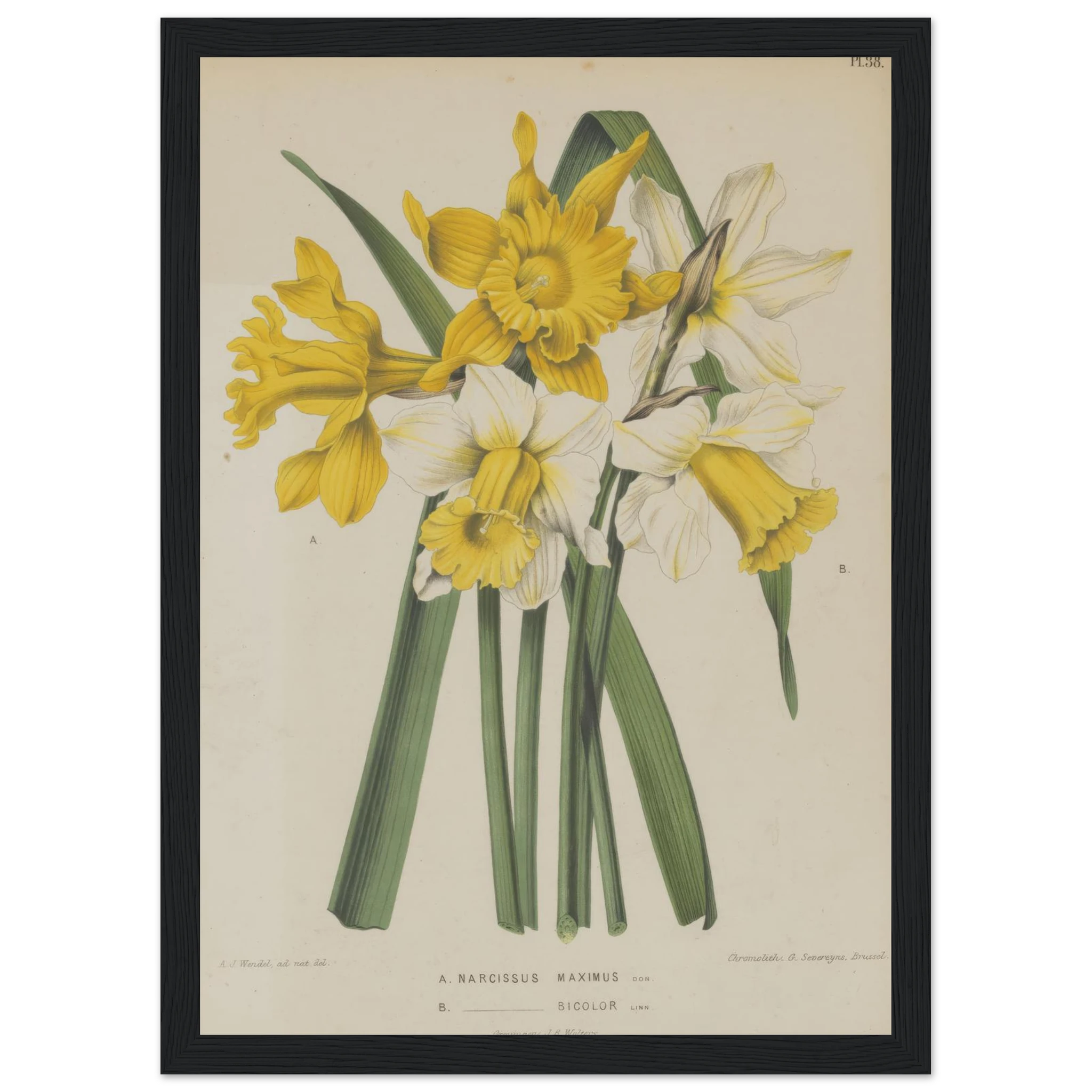 8c4aedf7-86cc-4cbe-b816-280d961f246f