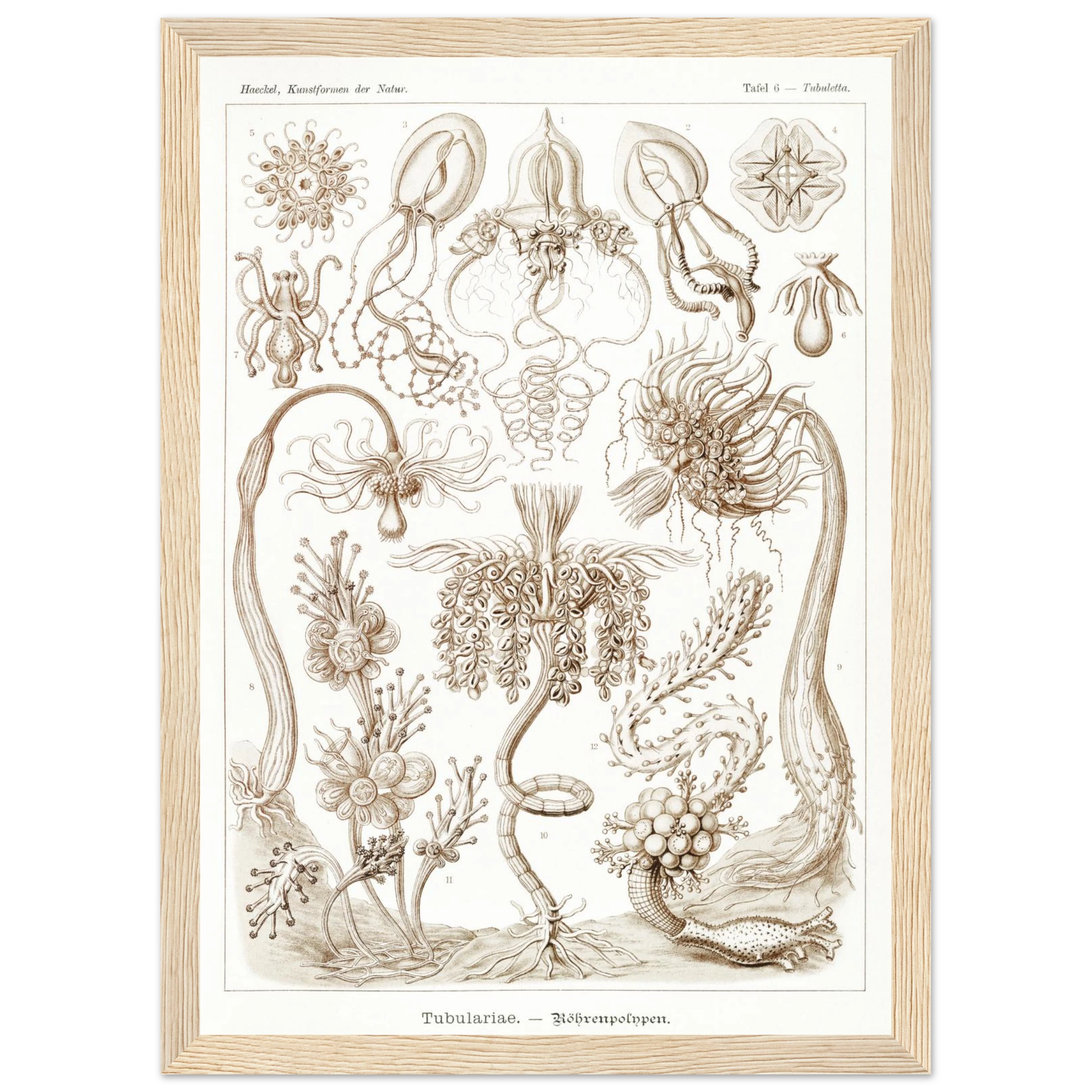 8c5407b5-734f-4e7b-bb09-1adbfbe0ee98