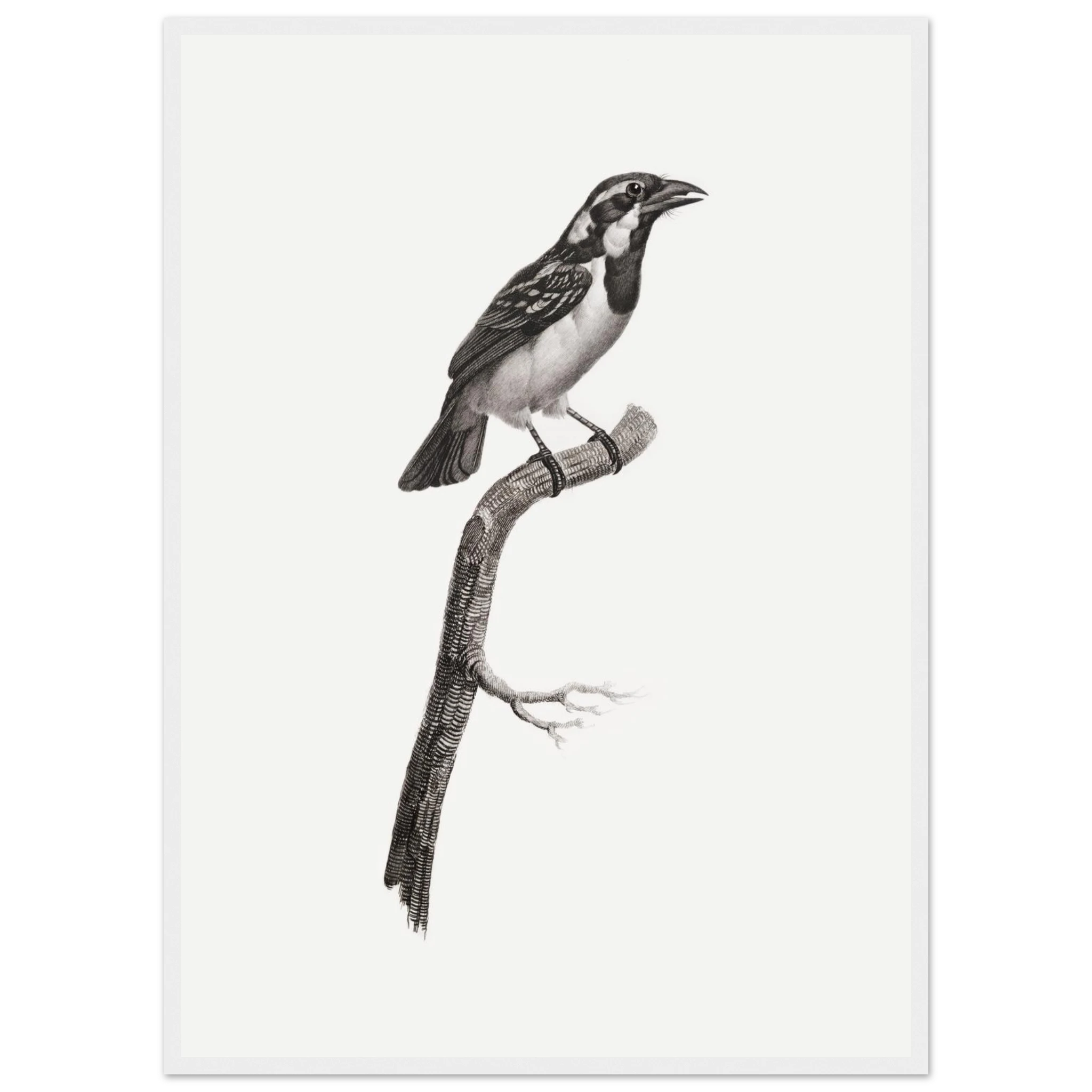 8c65eb65-23b2-496e-9679-18e58e69aae2