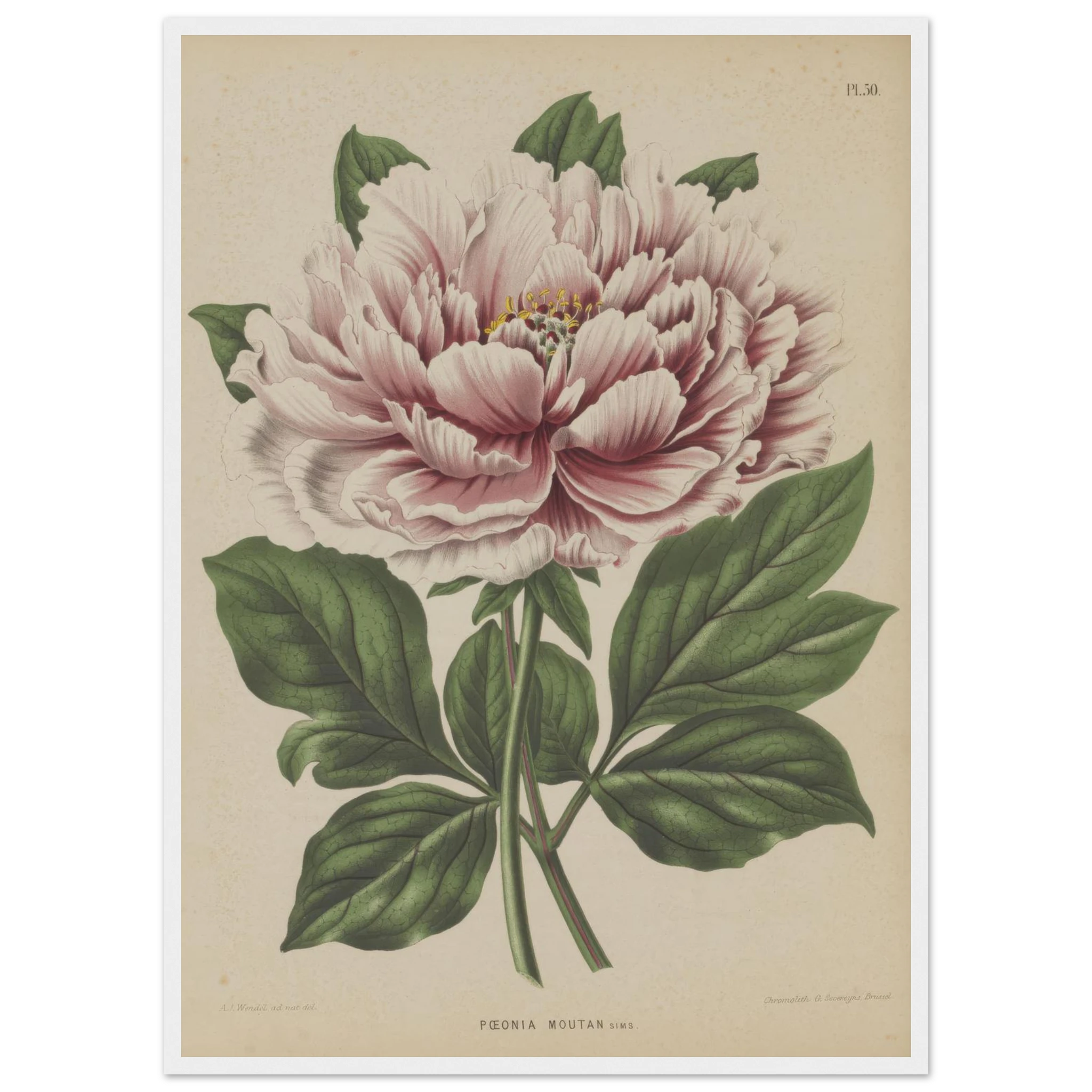 8c6ad444-9be3-4395-8952-d1e69d02d2b6