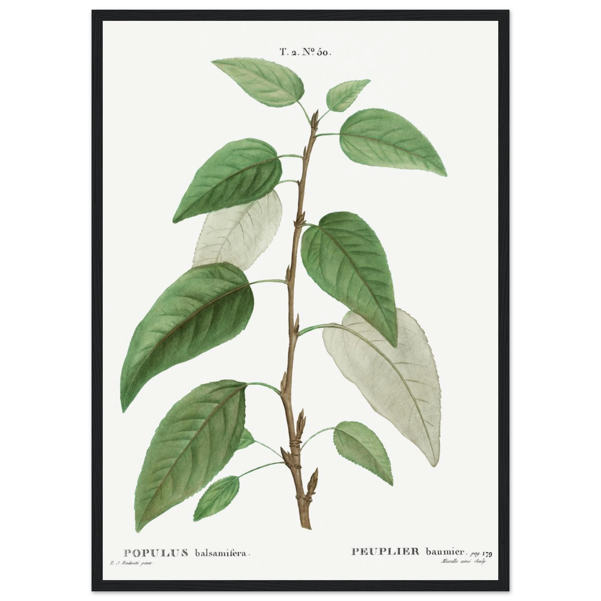 8c774898-2f02-456f-9e58-6c6a96fc5a4c