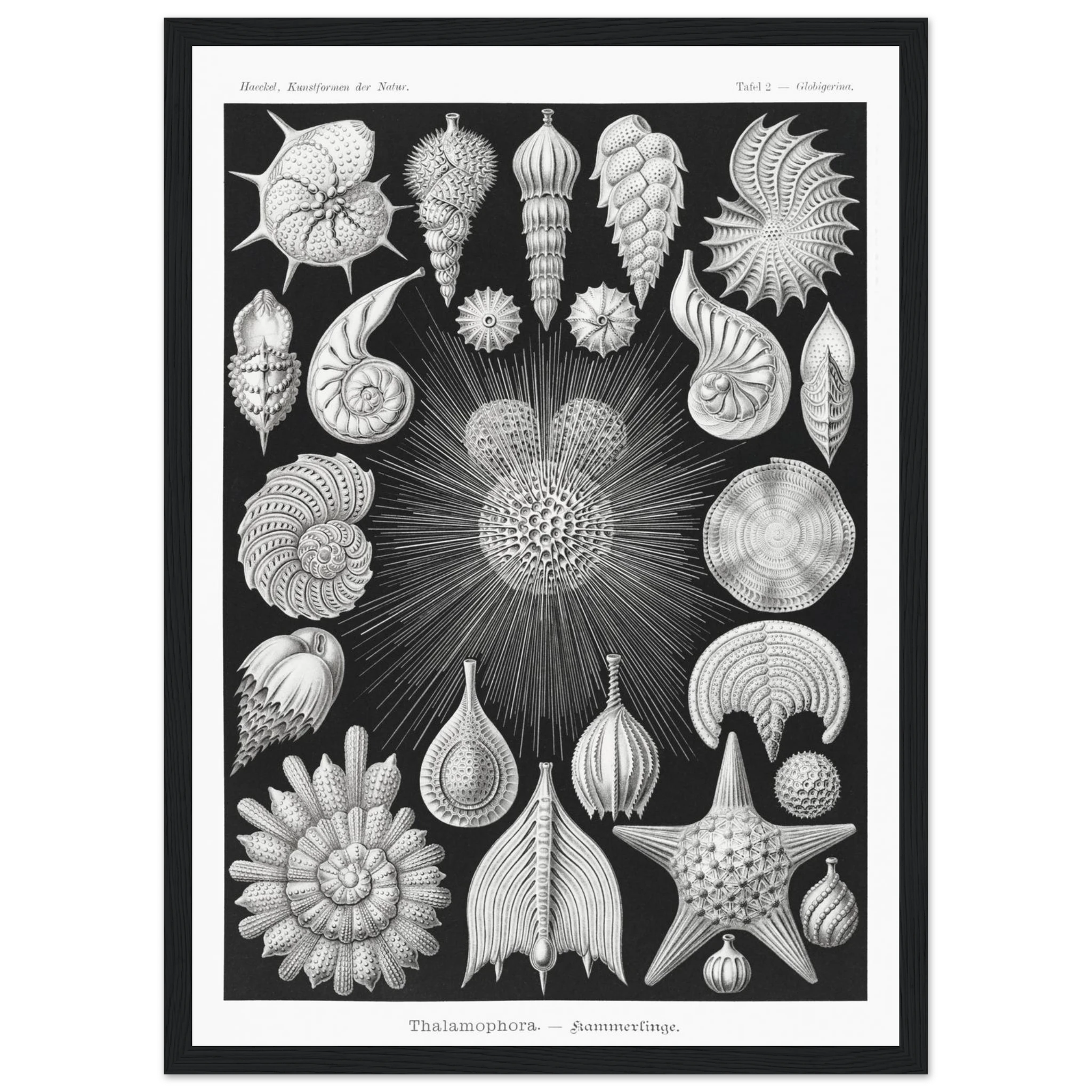 8cc9b8dc-2393-4038-91aa-de410220d29b