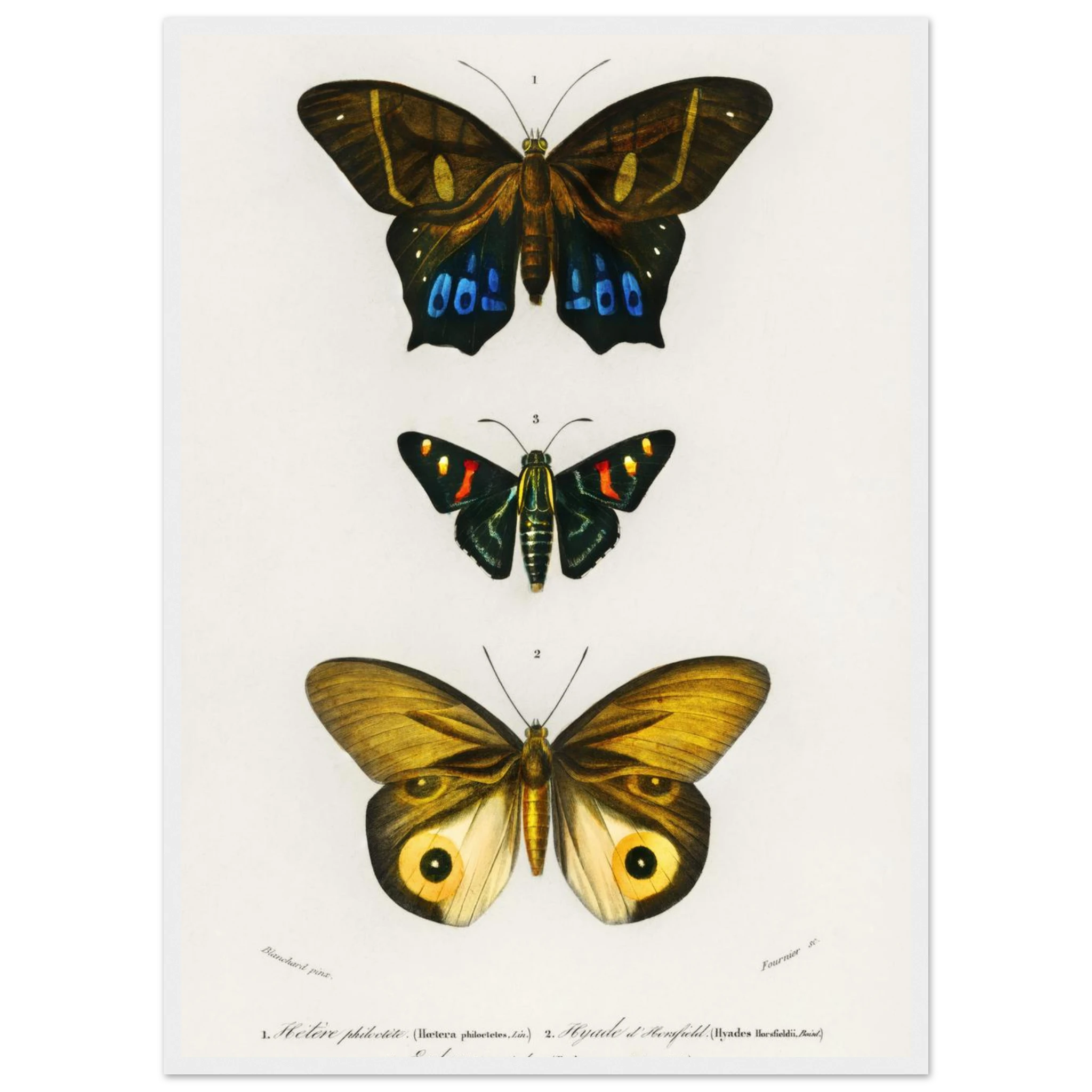 8cd366a6-1ae8-4991-88b4-0767a43e8dd5