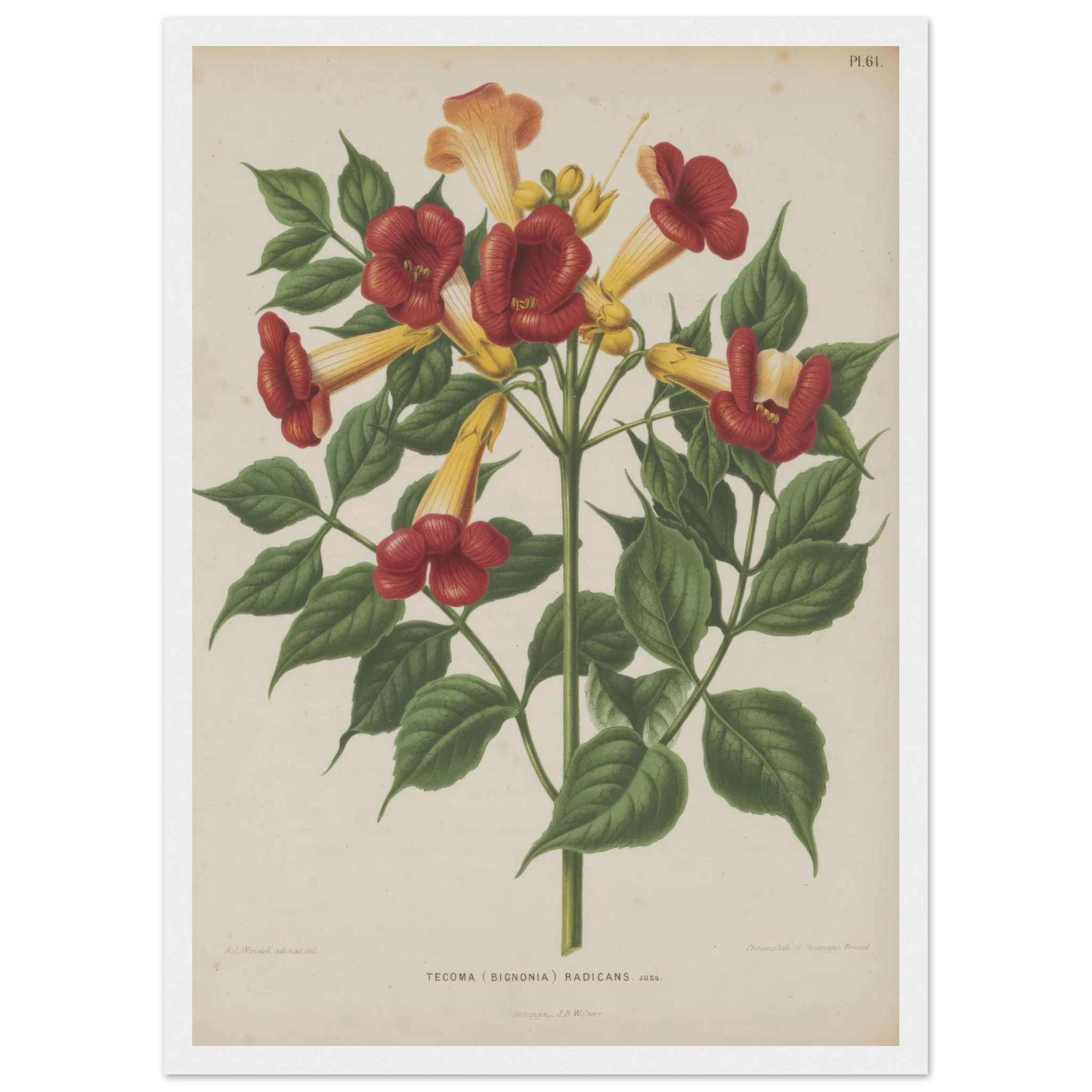 8ce070c7-ef7b-45b9-964b-d156f14f9b8b