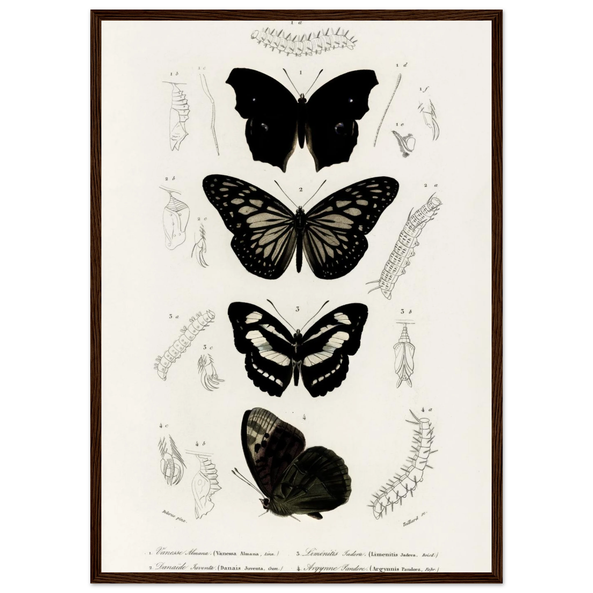 8cf20ec7-3305-4abd-98fa-f36ae09cc3cf