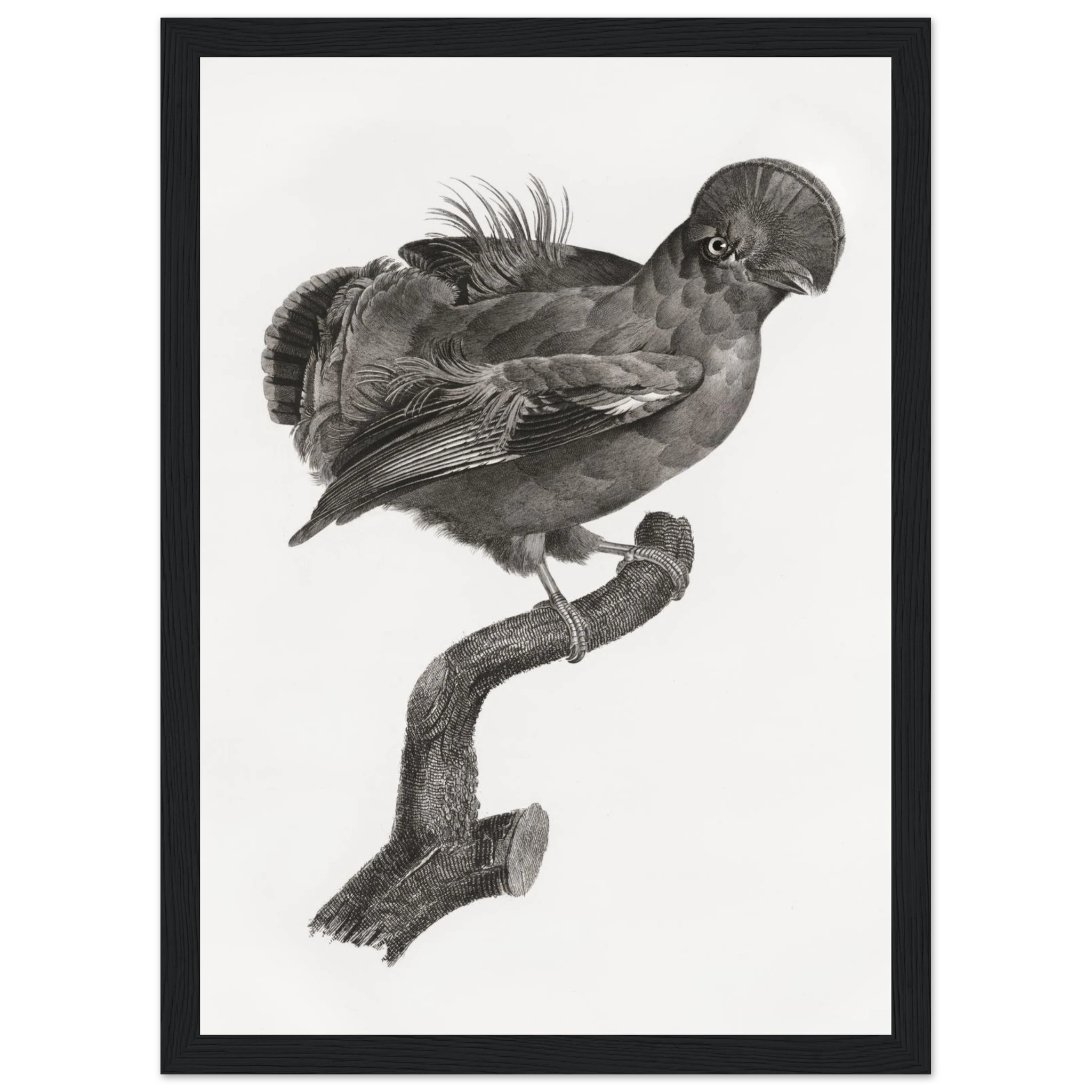 8cfdfeb7-f8a7-4f63-a704-fba61a9c26fd