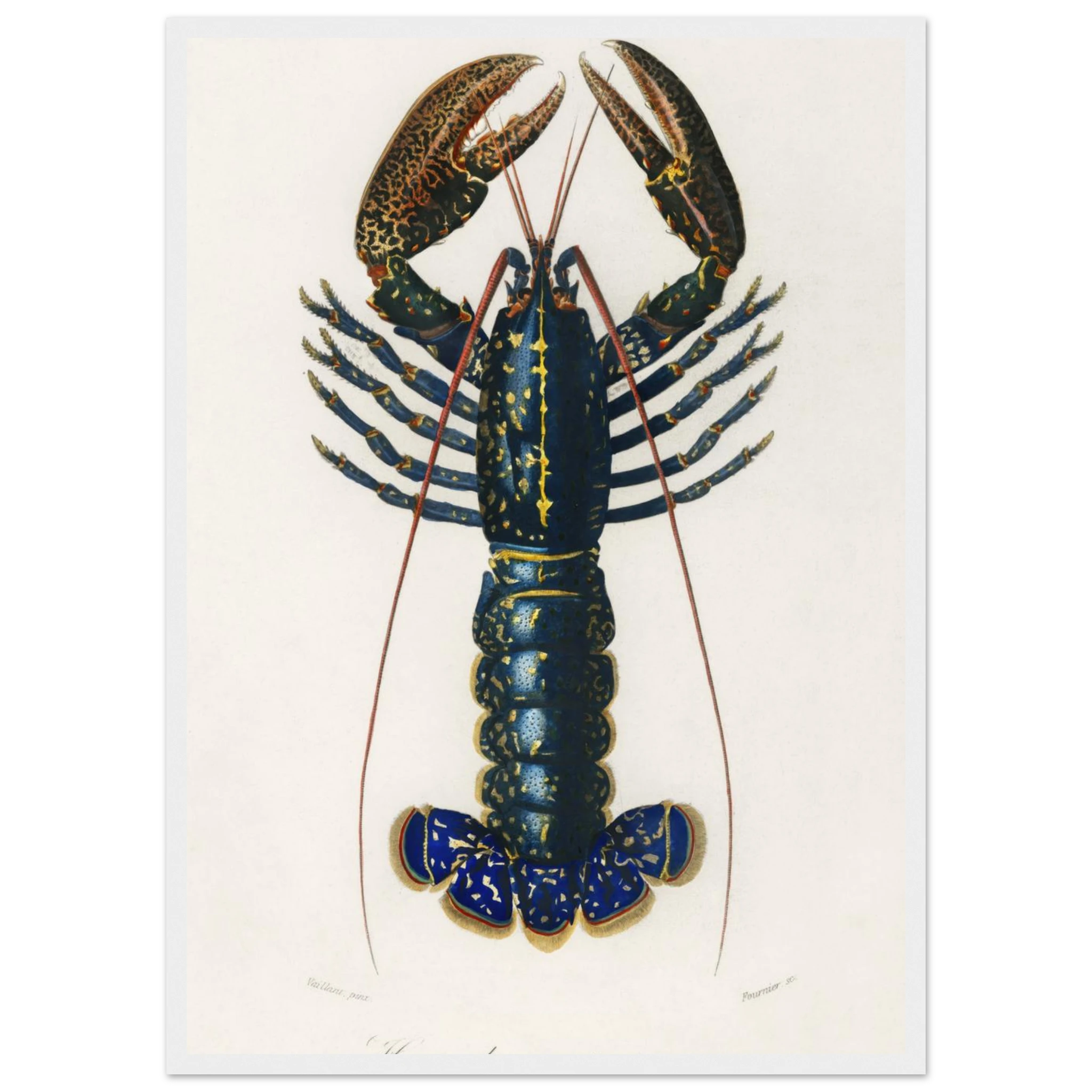 8d8f7a98-e61e-454f-82d1-7d590b3cc009