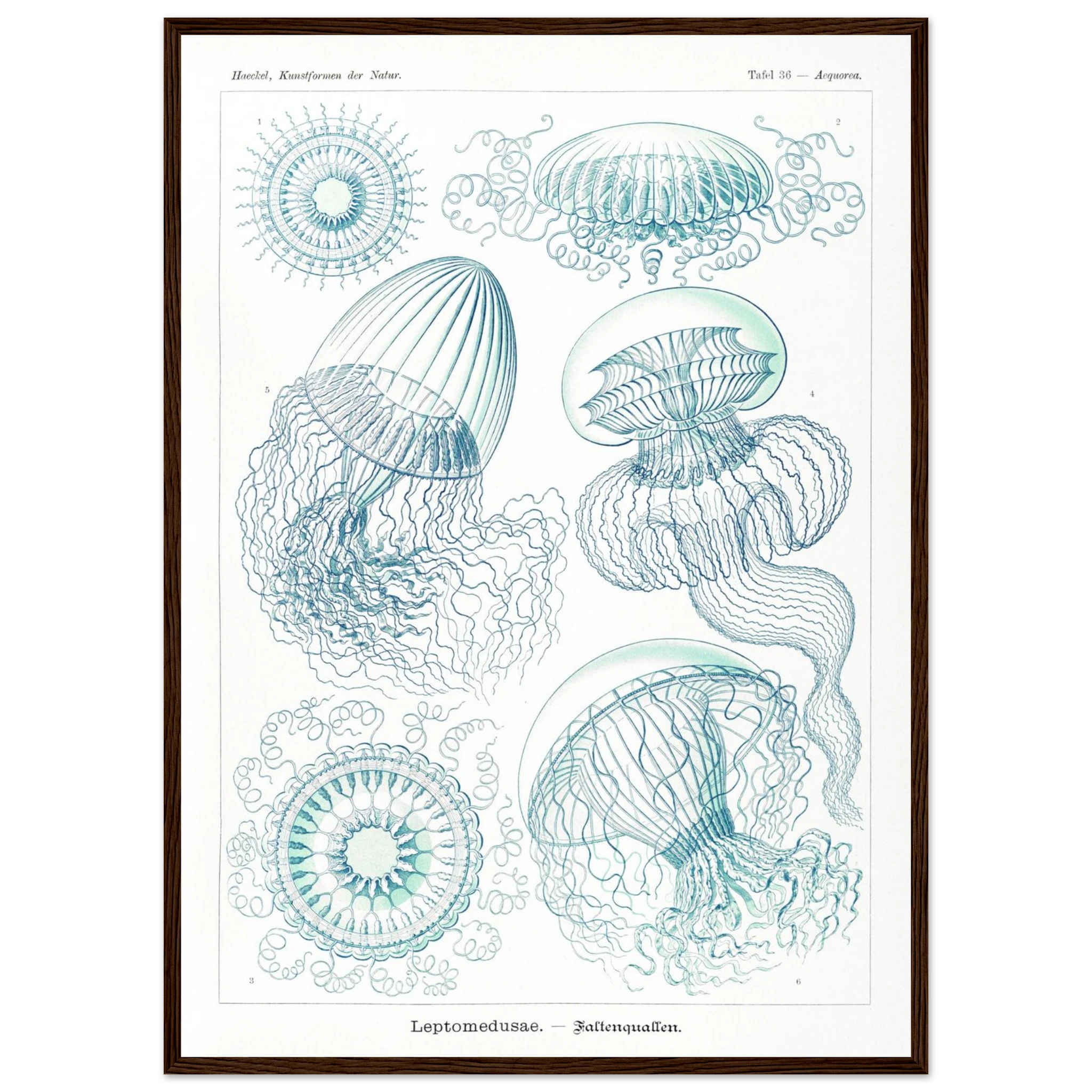 8dd424fb-c33a-45f5-bdb6-4095ef5dad95