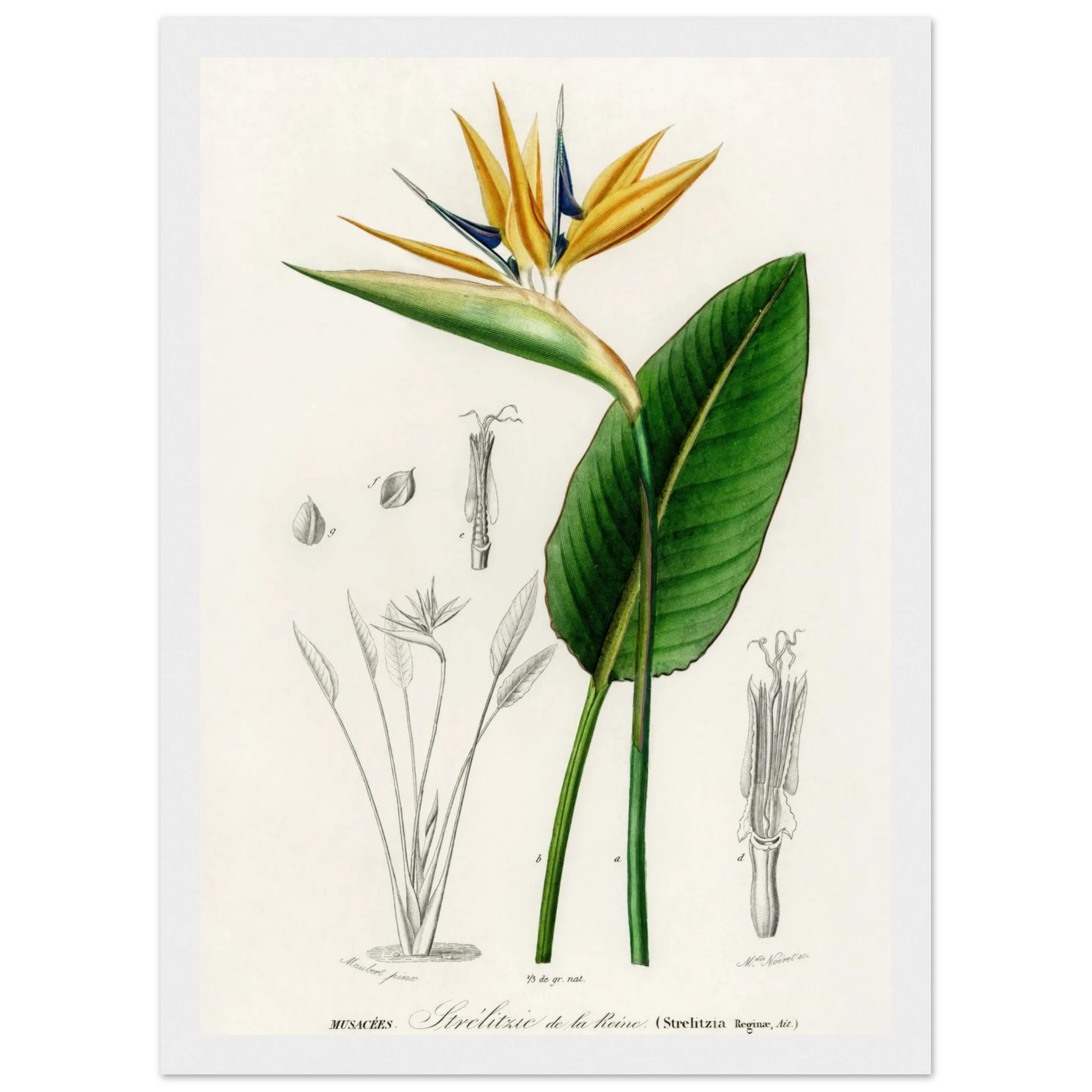 8ddd9871-0b81-4861-a469-67945b0f3b12