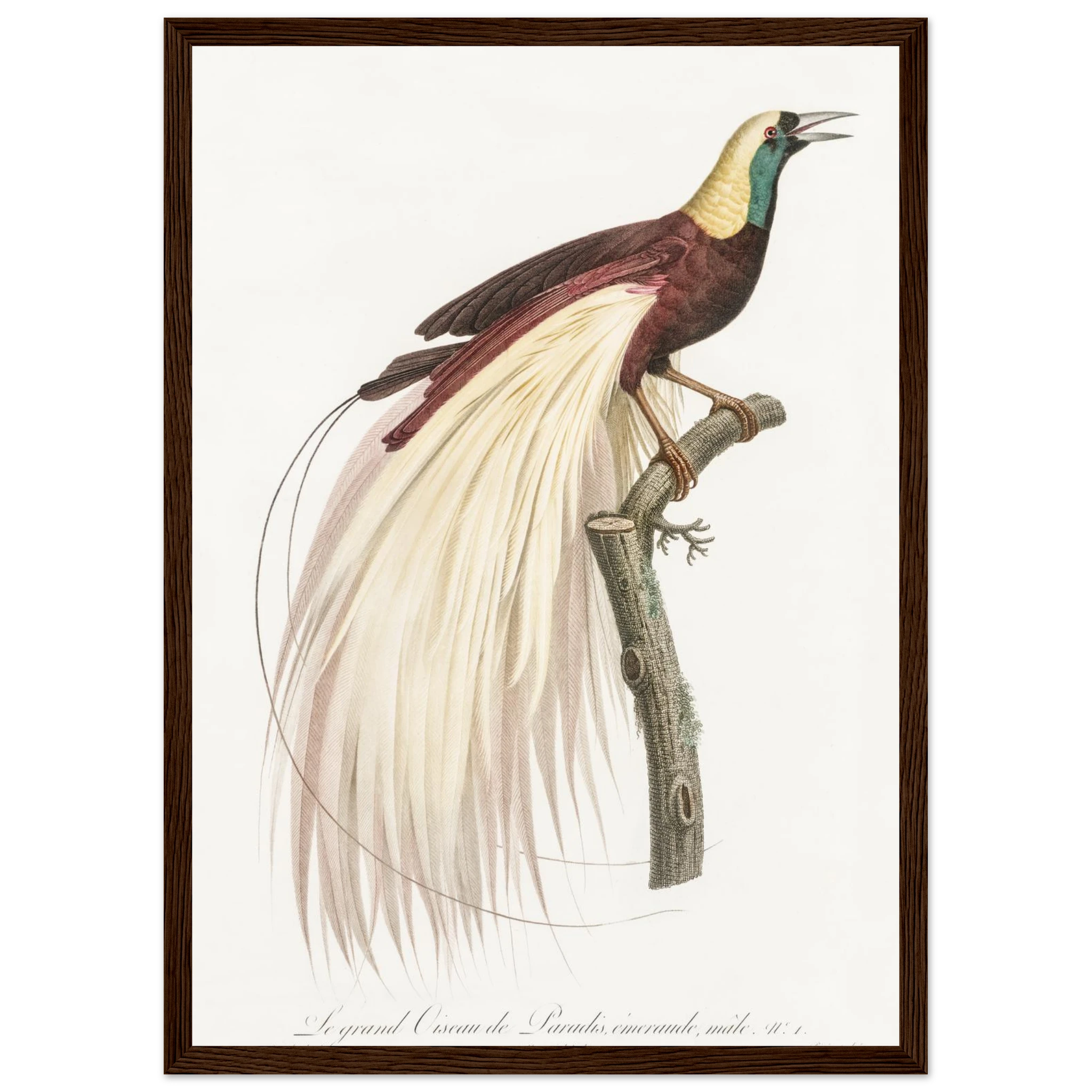 8e0a7135-ca37-465d-8512-94cb1a272ba9