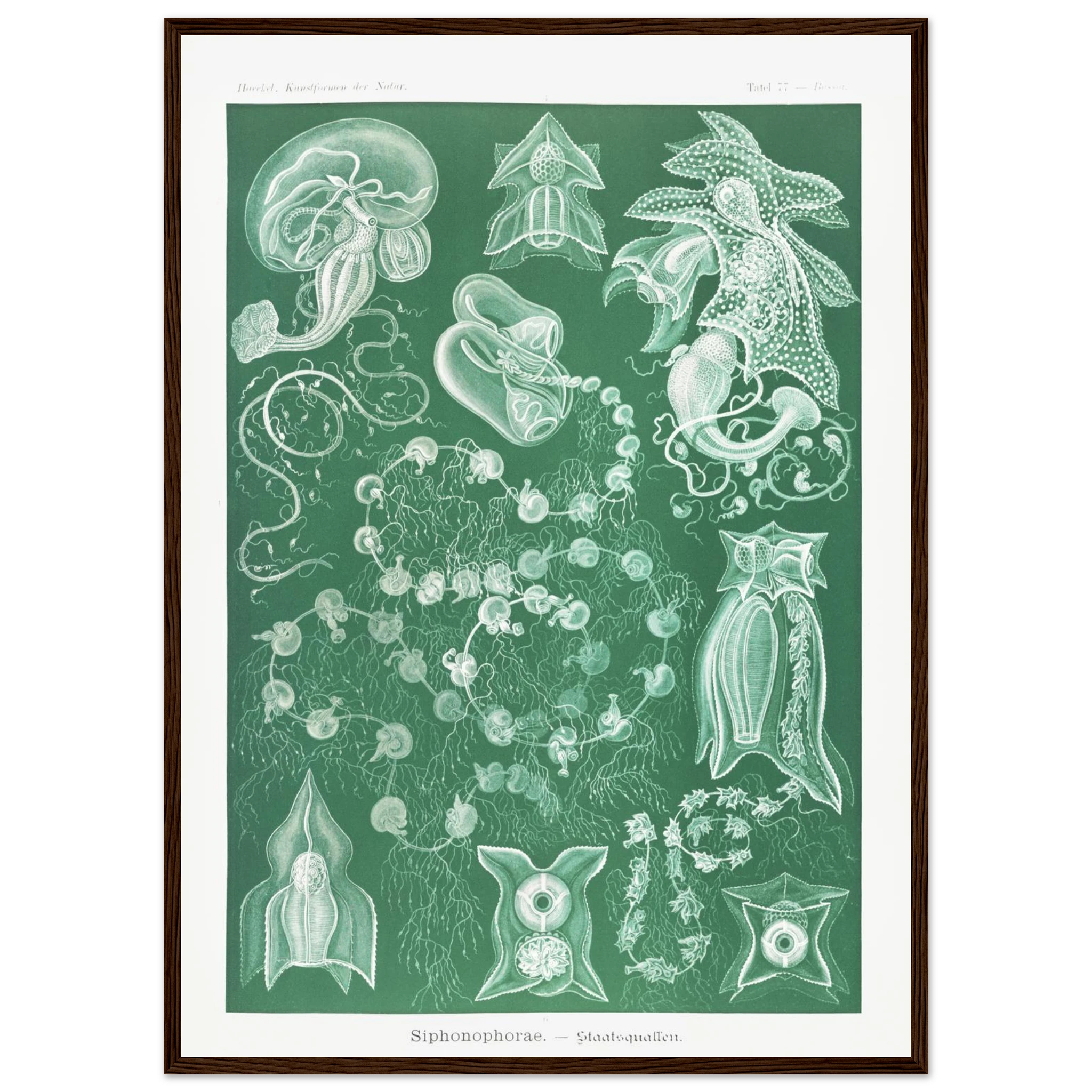 8e4e2e60-a5b1-4e46-b29e-dcb95455dd42