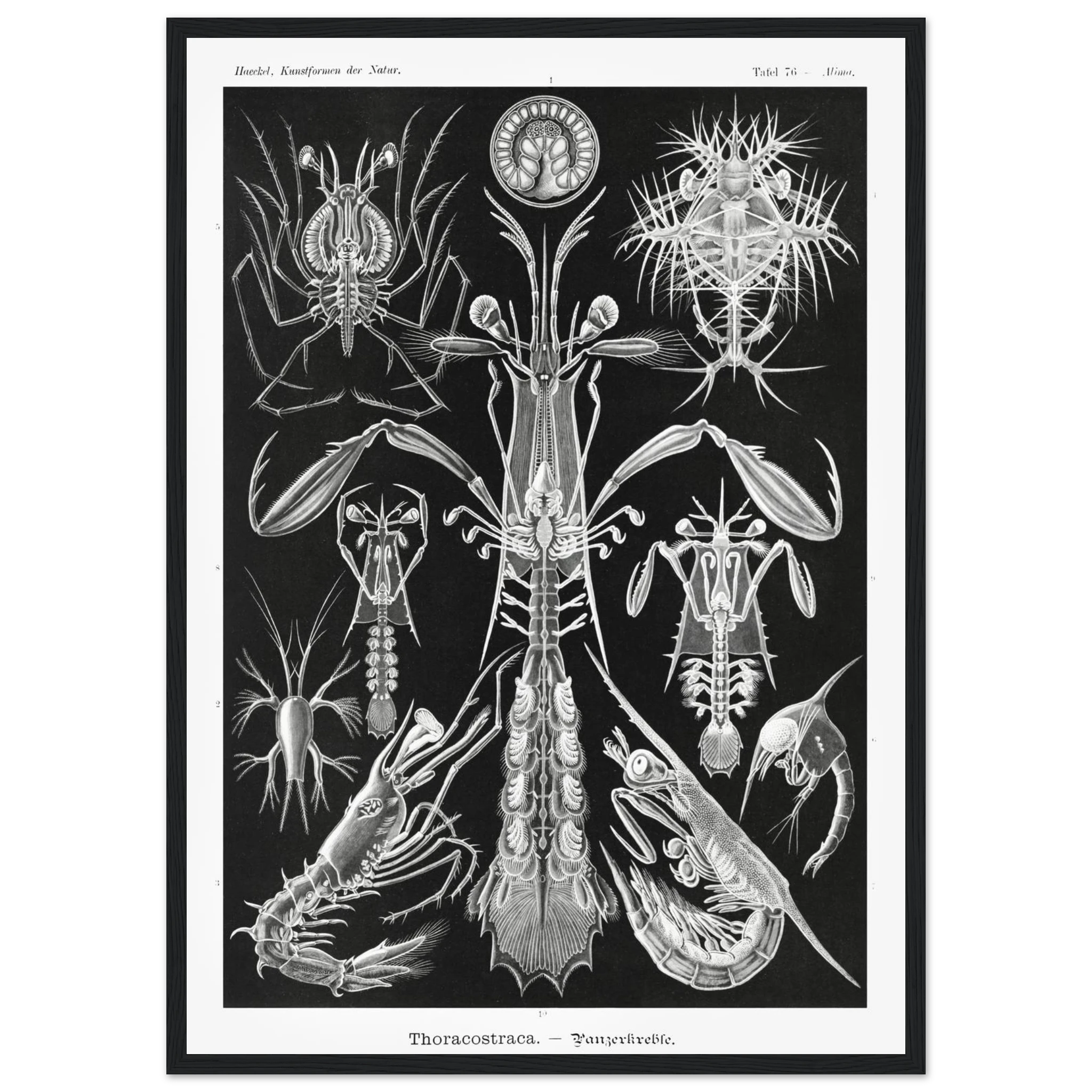 8e8abe69-126c-4eb9-a0b9-8e3543c46b4b