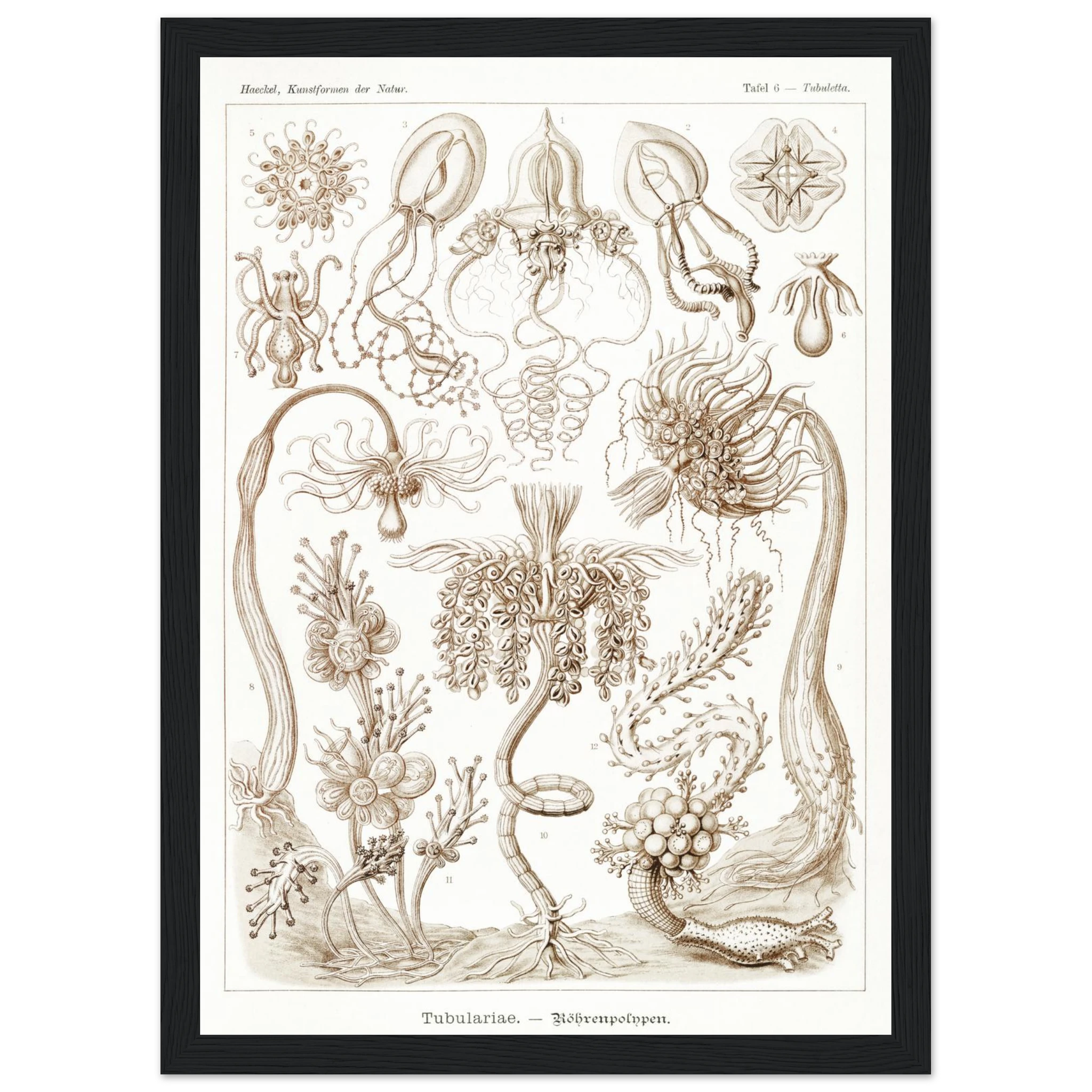 8ebcf23d-4e82-4379-90de-b273a4349a4f