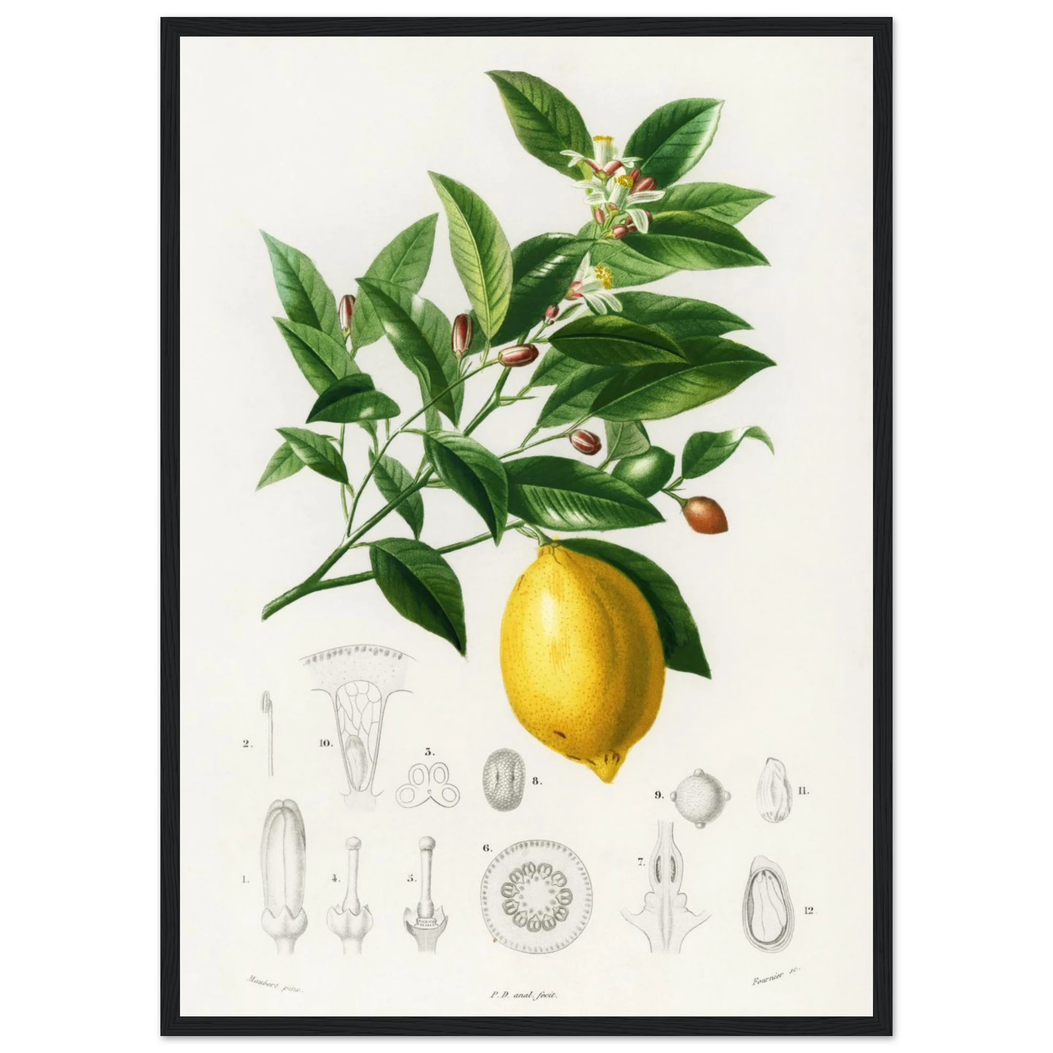 8ee9c159-0928-480e-9be9-914928aa550b