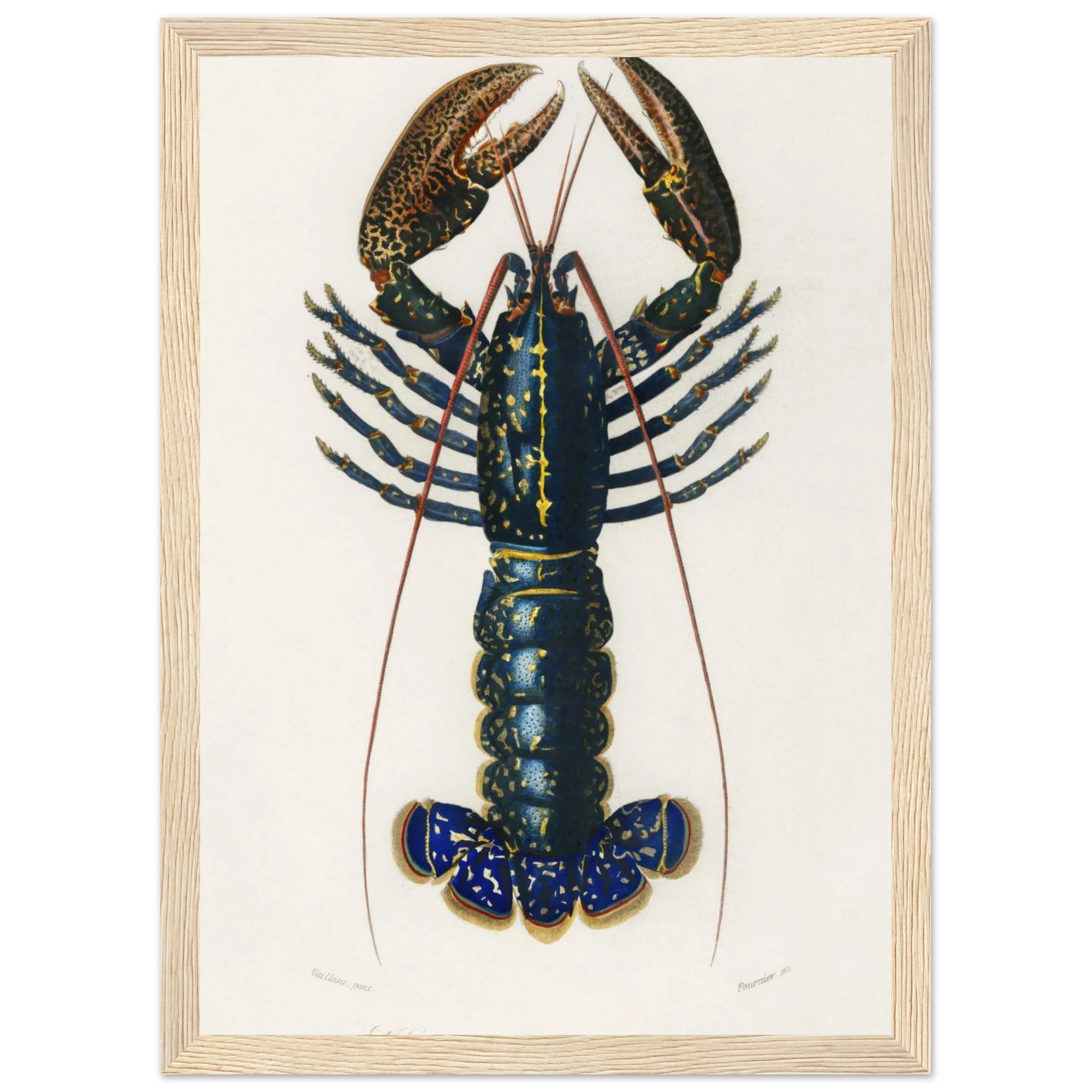 8eed7105-d5eb-48e0-a474-90793832d462