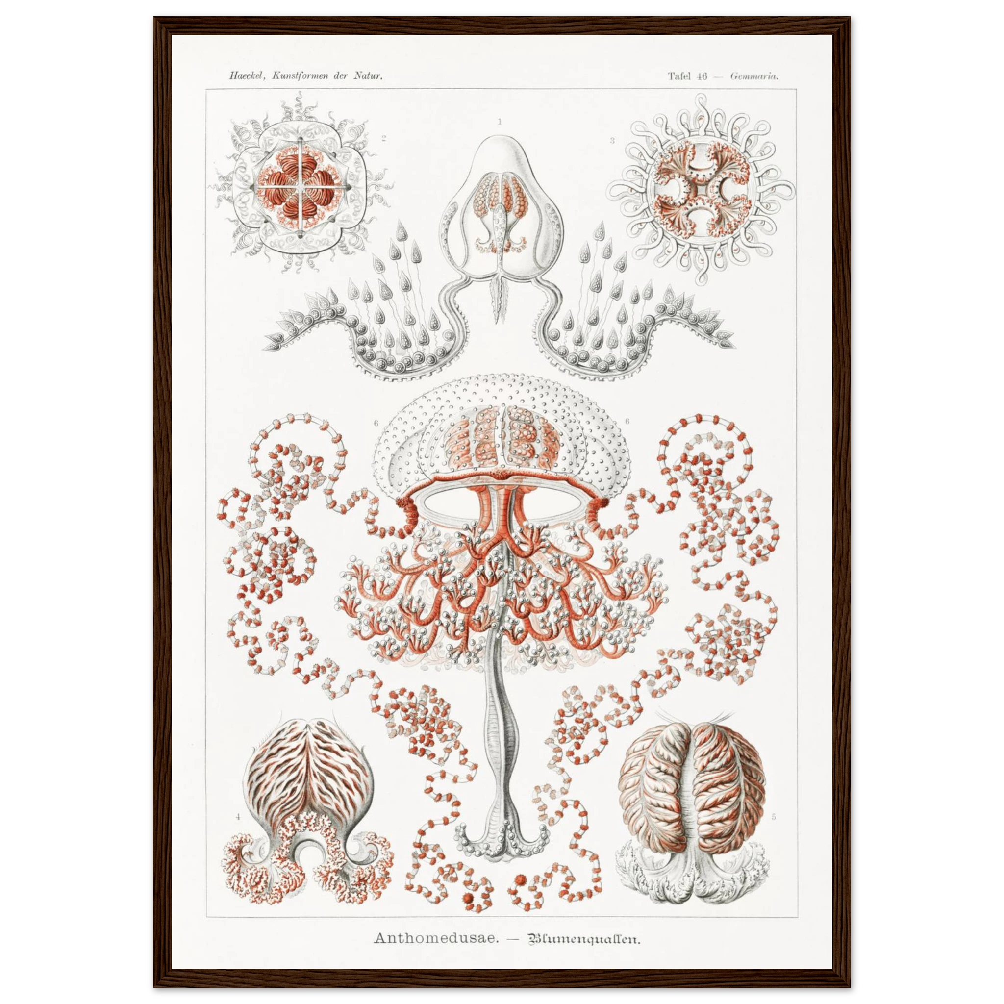 8f1012dc-d19a-4b40-9a8c-d4ca7a2da52b