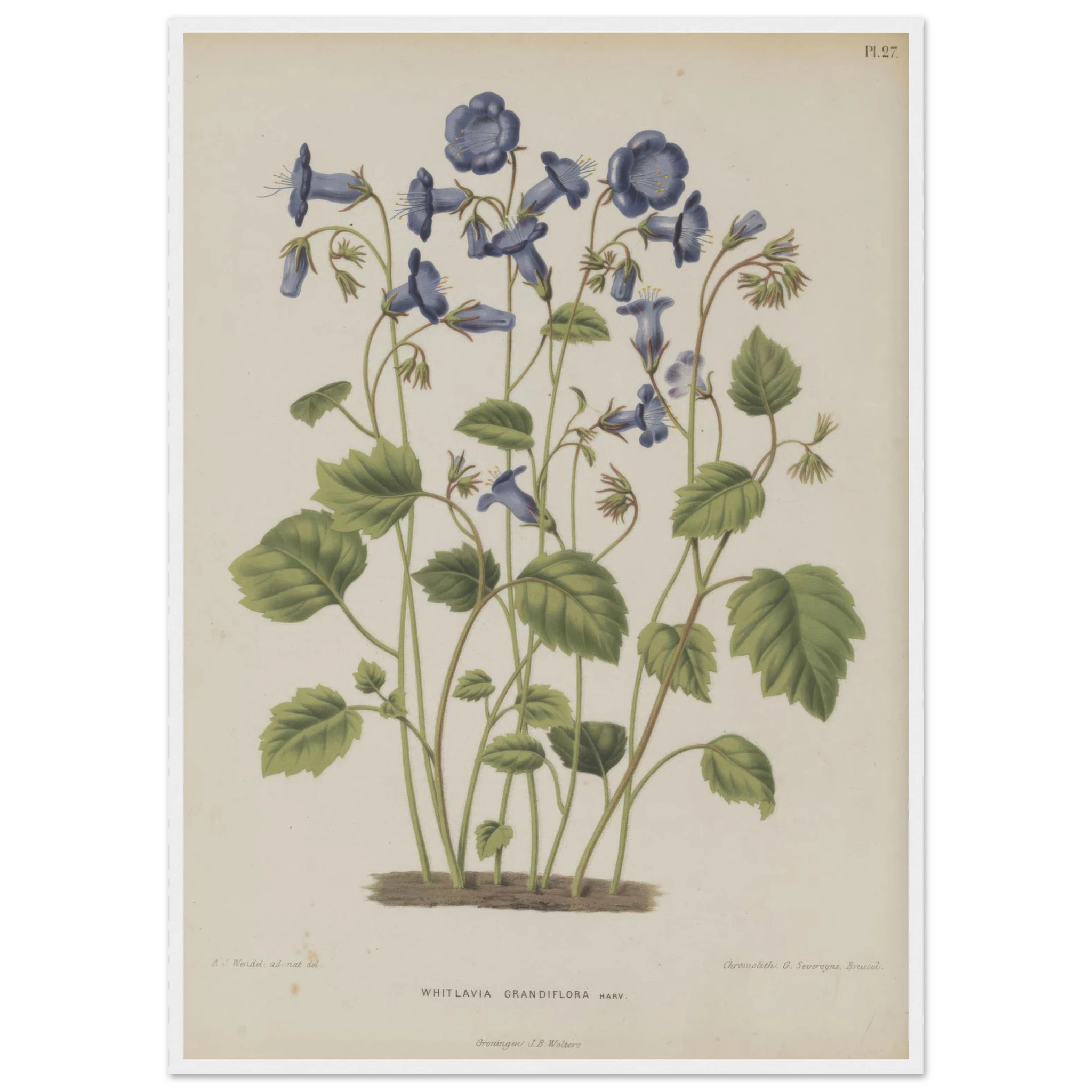 8f1f8586-26bc-4765-b548-2d4d9cc4c2b0