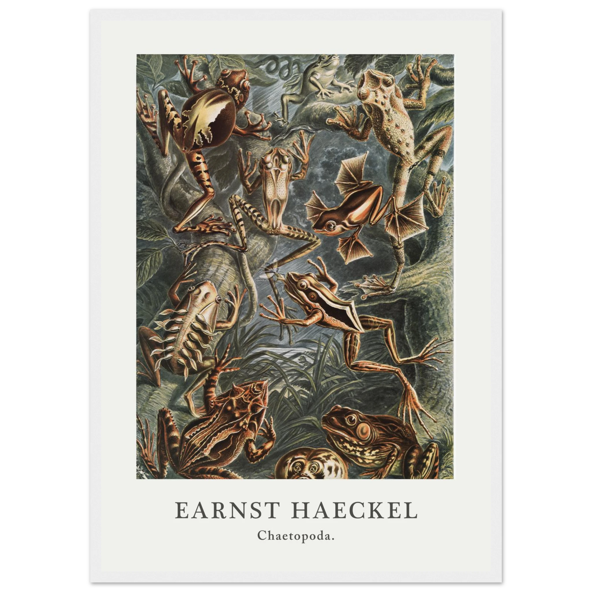 8f3e9bc7-7e1a-4fcf-961a-21a46833db6f