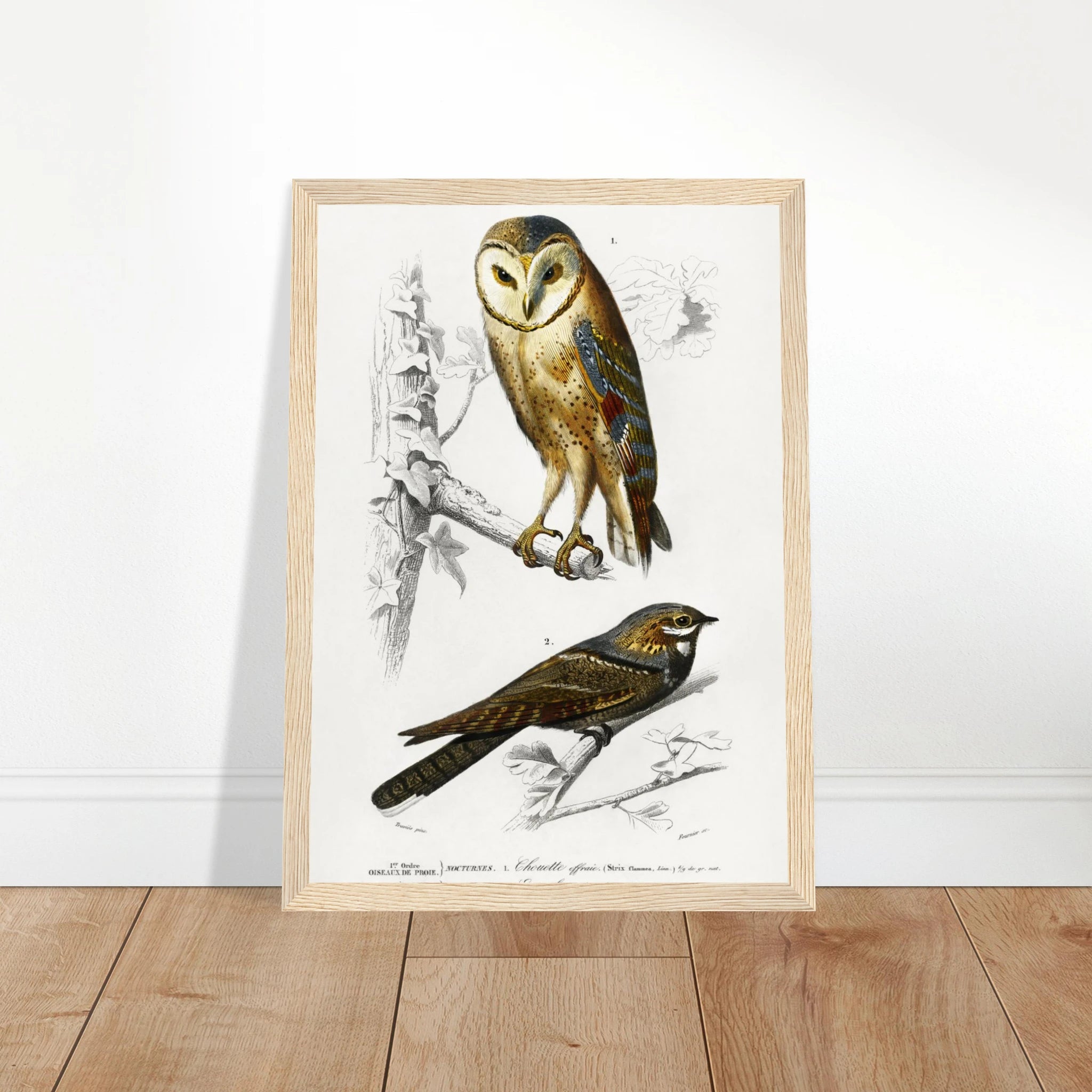 8f725622-2854-4092-87f7-53ef2a0f33f5