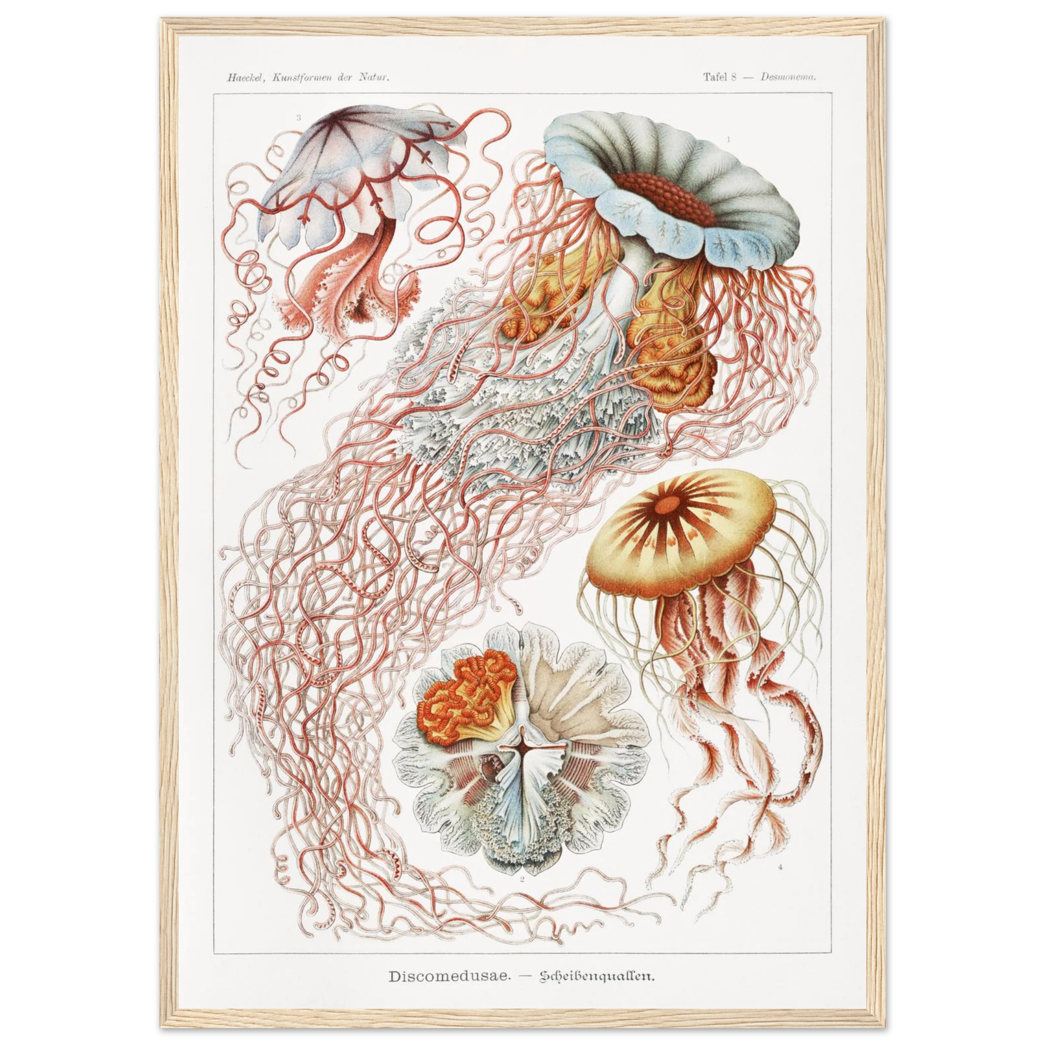 8faa92c7-d0c4-414b-9087-488c6a0a0a24