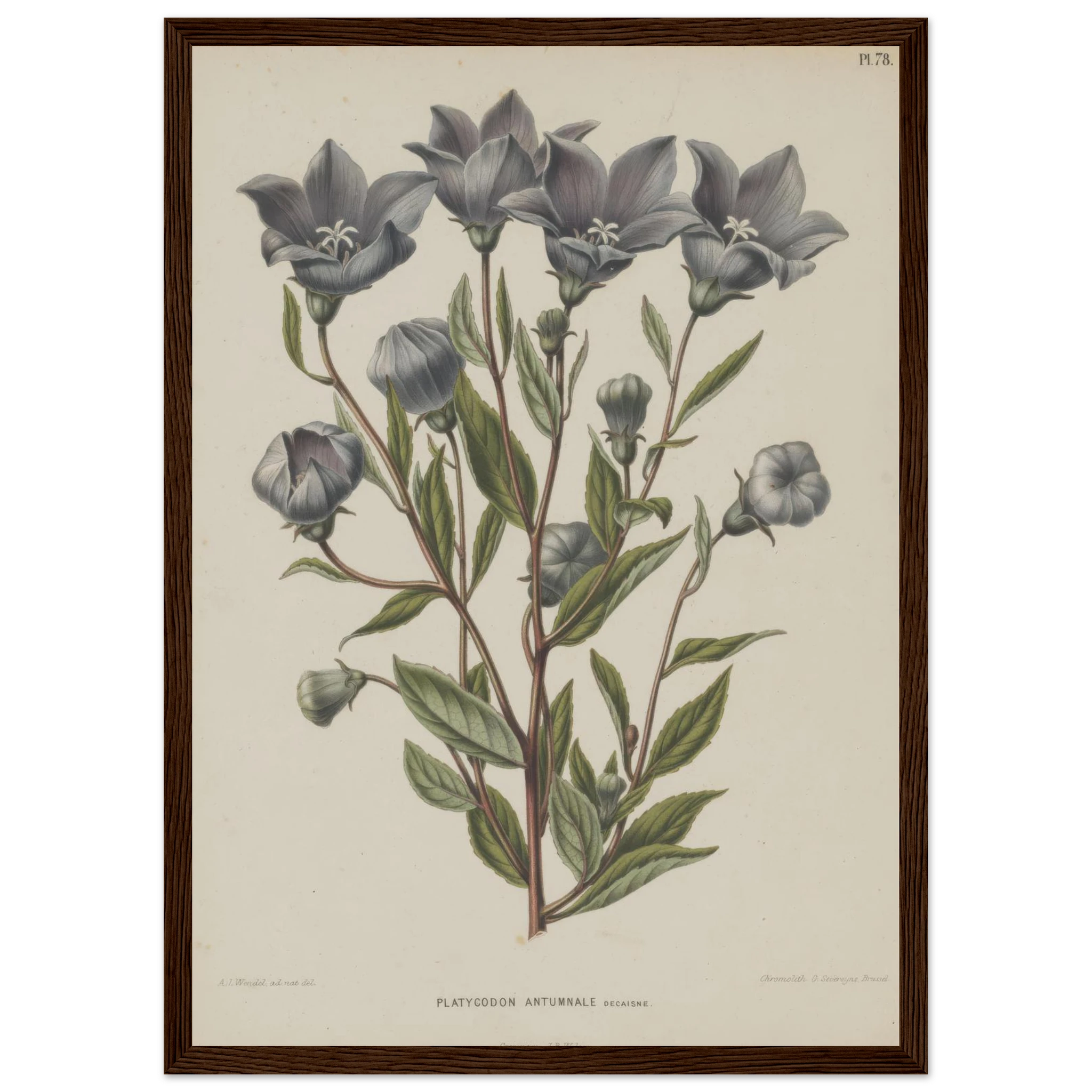 8fae9360-5485-4e81-baee-66d9893354ae