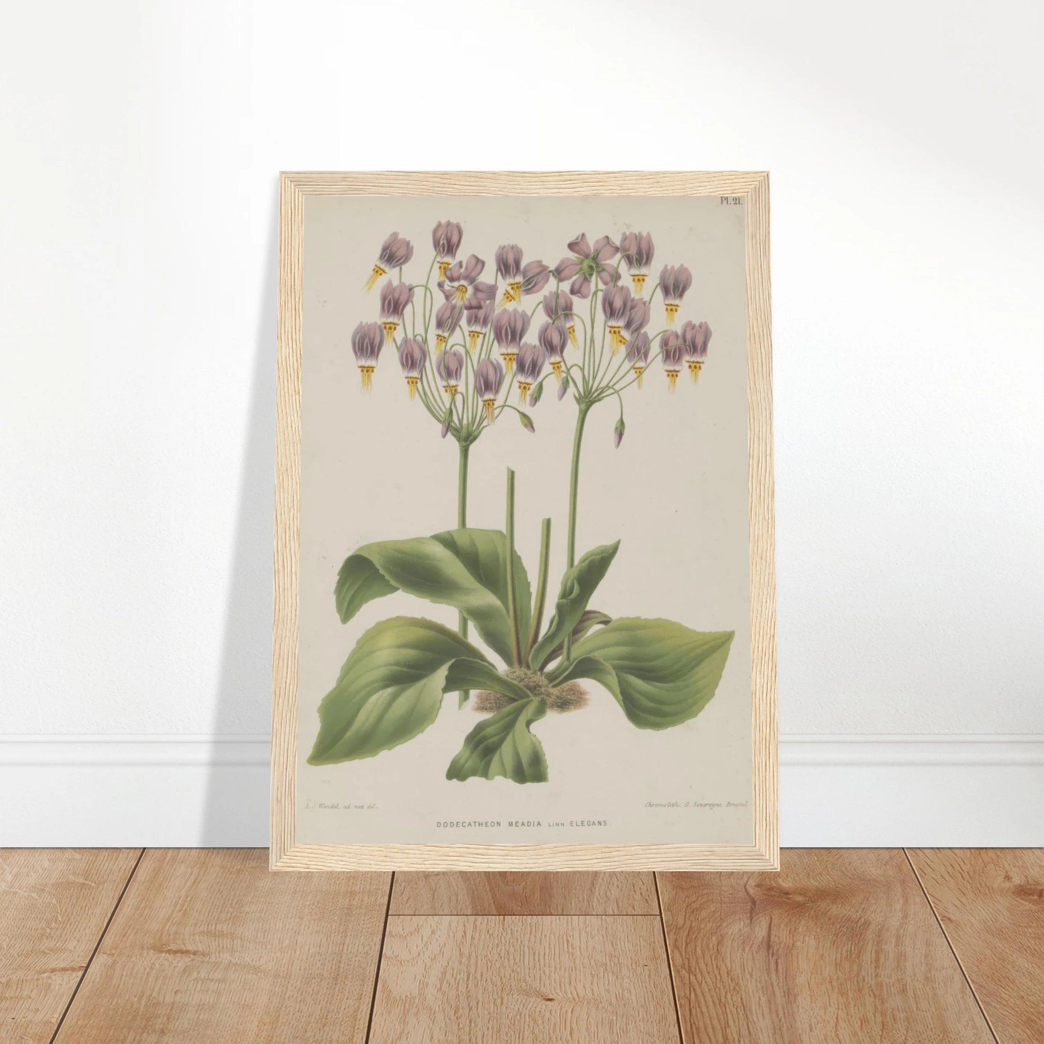 8fb4c21f-bd0e-480f-bbfa-a00e4123aa90