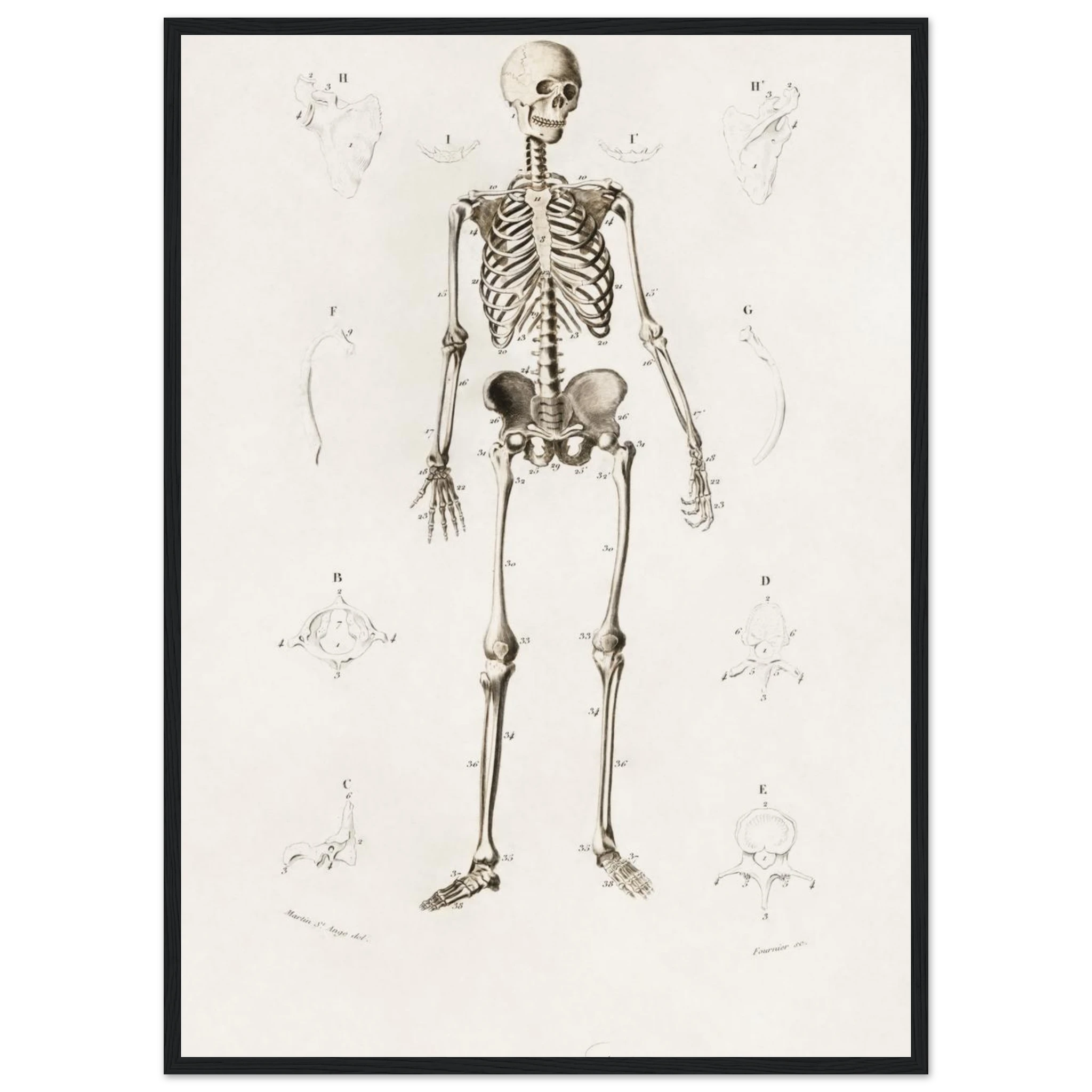 90237223-a558-4be2-9856-bde2ab49f59f