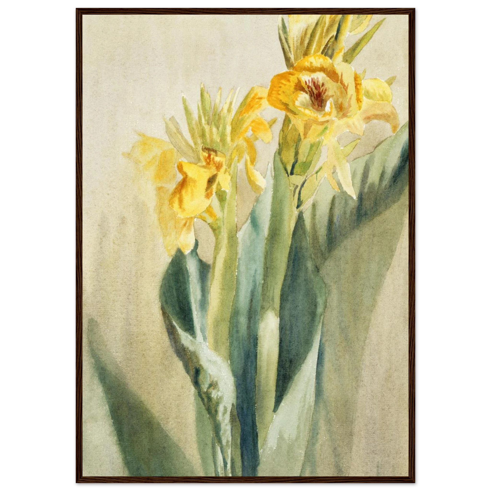 907d0dfb-529e-4f4d-b667-426723672fd2