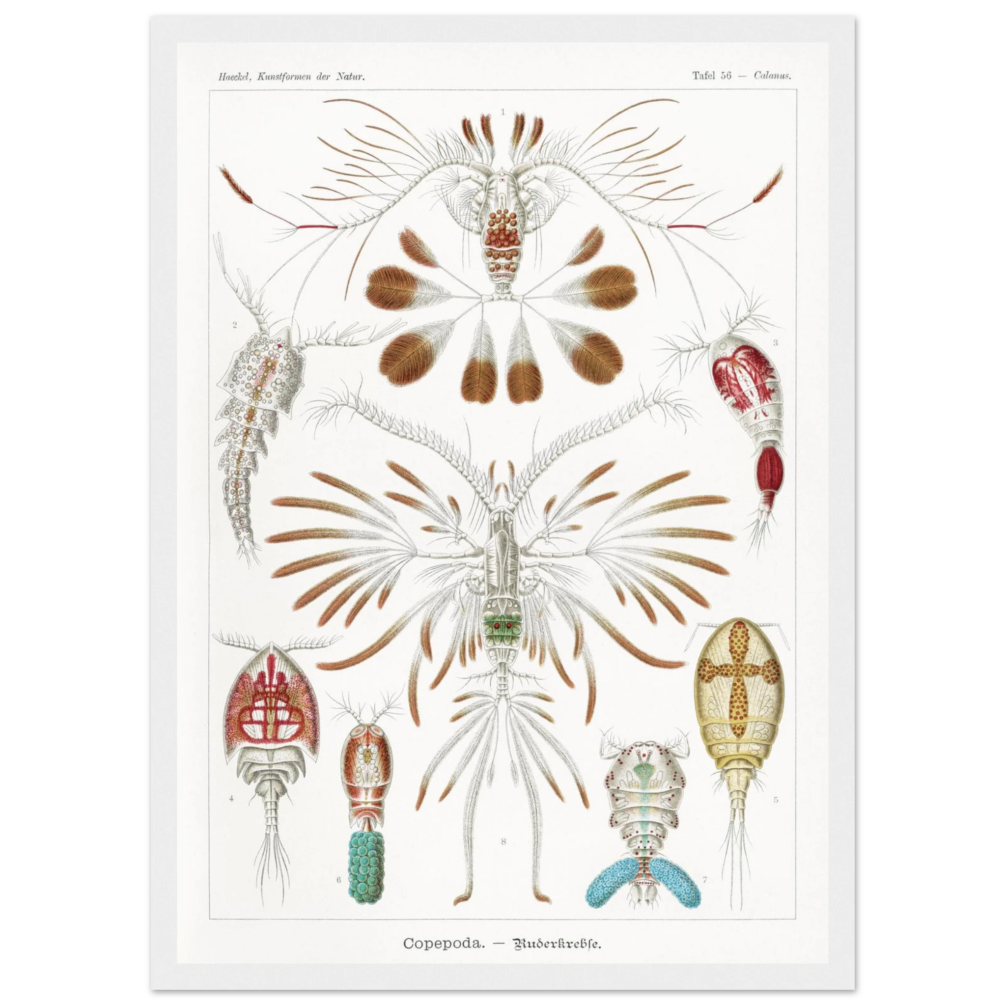 907fae17-268f-45e5-955d-e3075db6d5bd