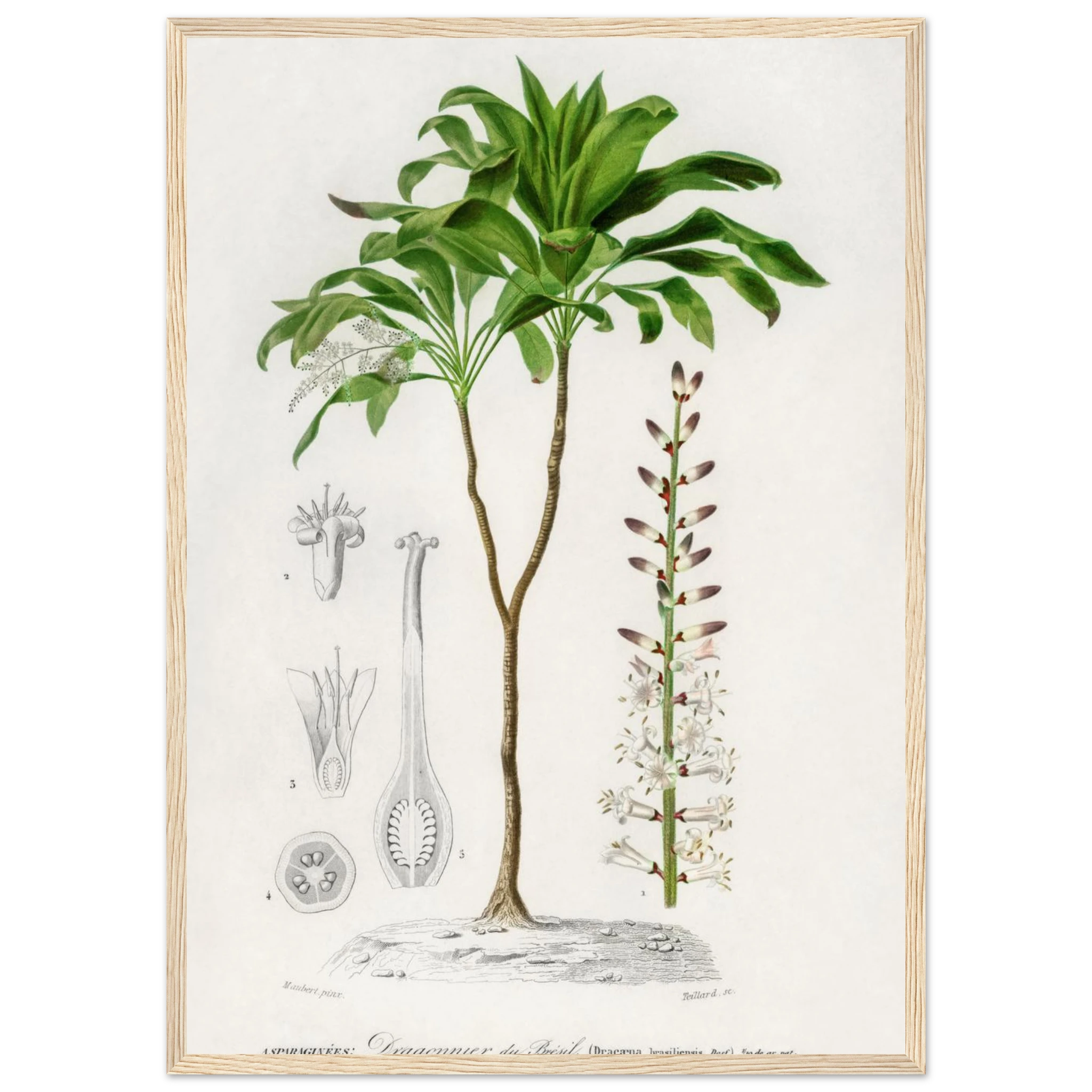 90936d81-6d03-47e6-a1a9-9011ba55d1d1