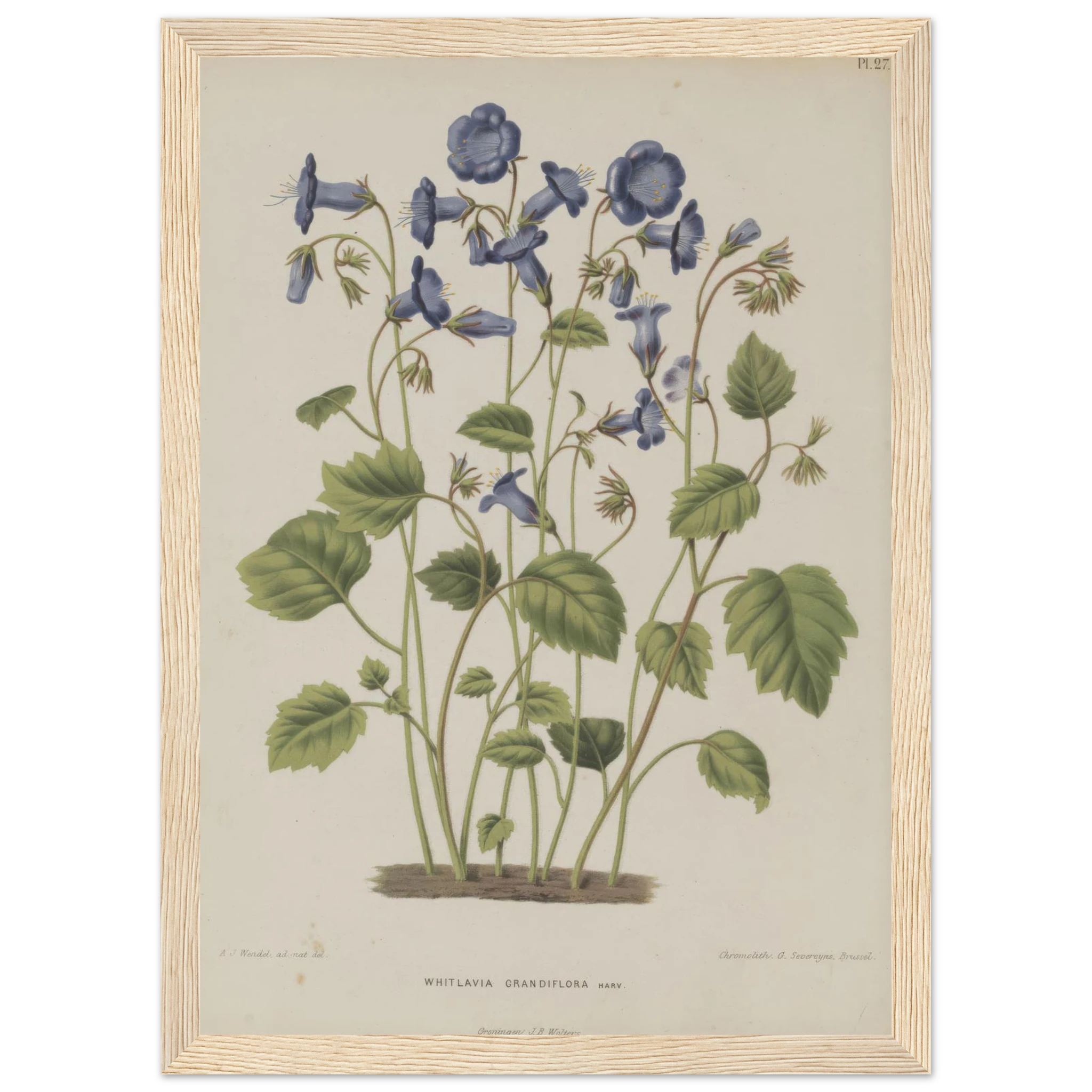 90c4ca42-ec7b-4f81-95d7-9634760318bd