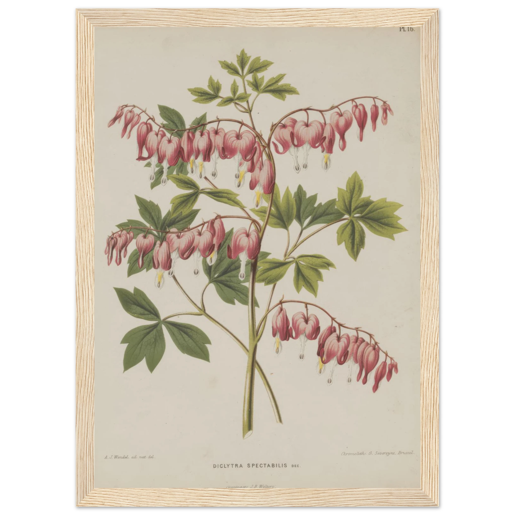 90e0b556-a02d-45a7-8266-75466e726f6d