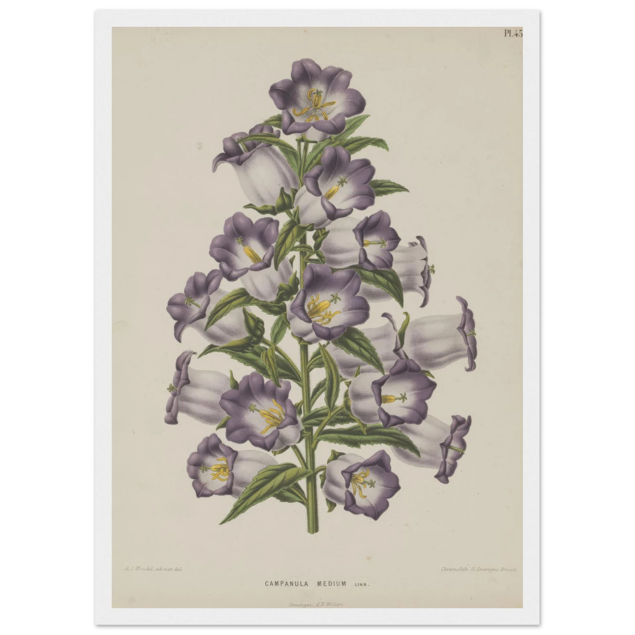 90e0e0b7-22e4-49e5-a035-18fa8a2b2513