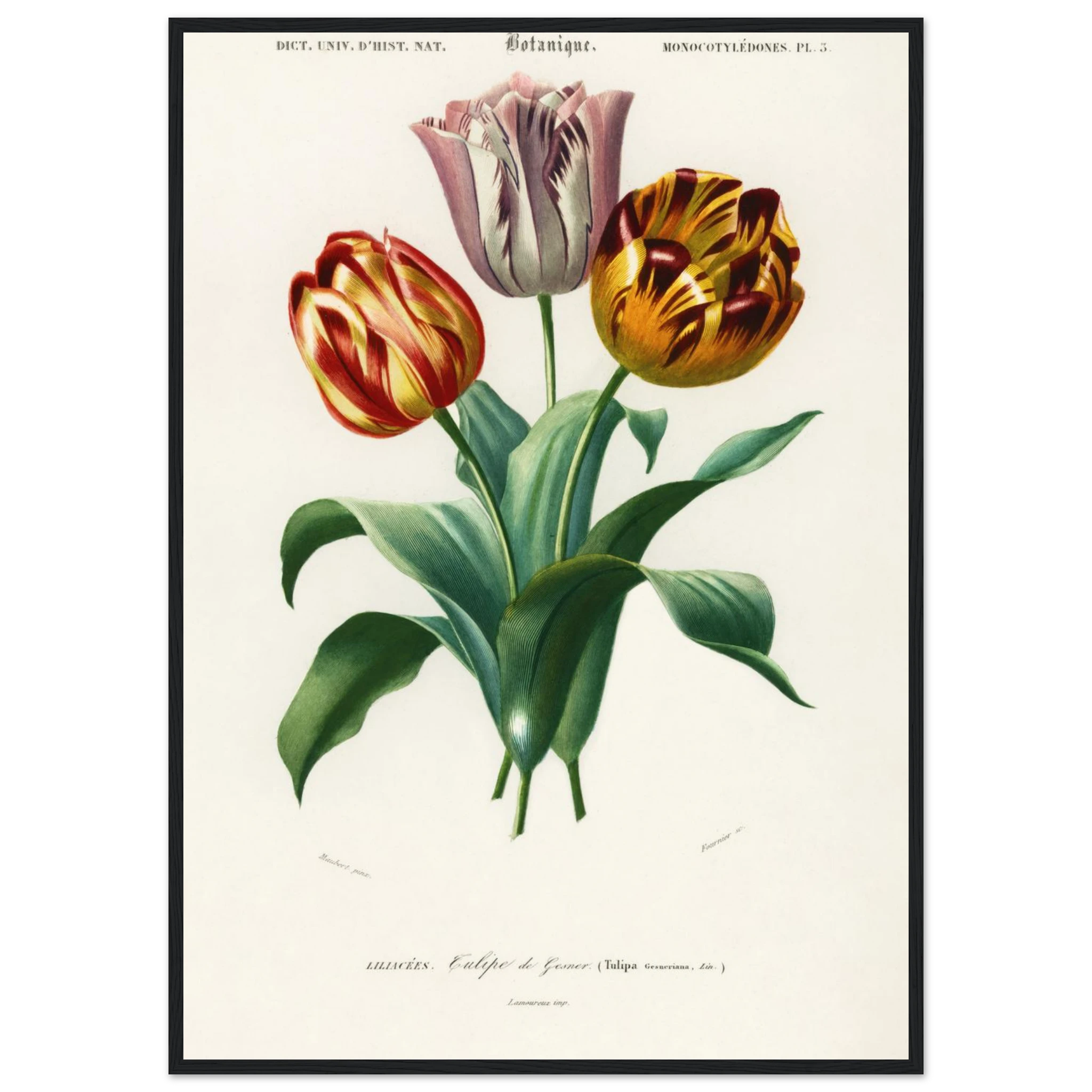 91386027-ba80-4c4d-8e1c-85b47290c68e