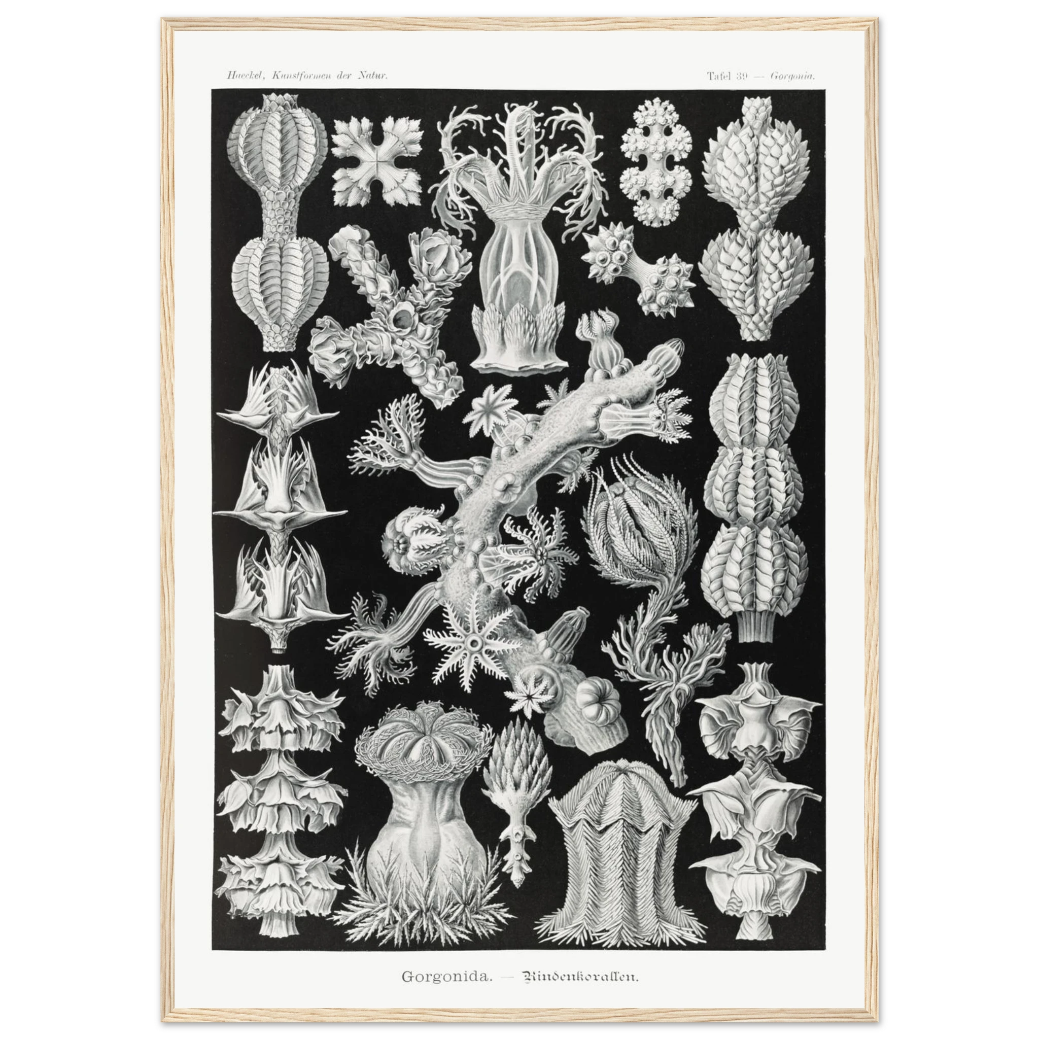 914ba0a1-263b-44de-969b-6f63b209d834