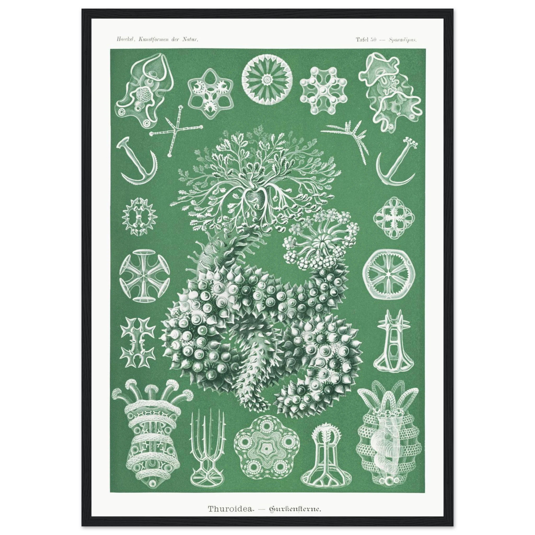 91606e6f-2060-4e18-ba45-035af5f4ca90