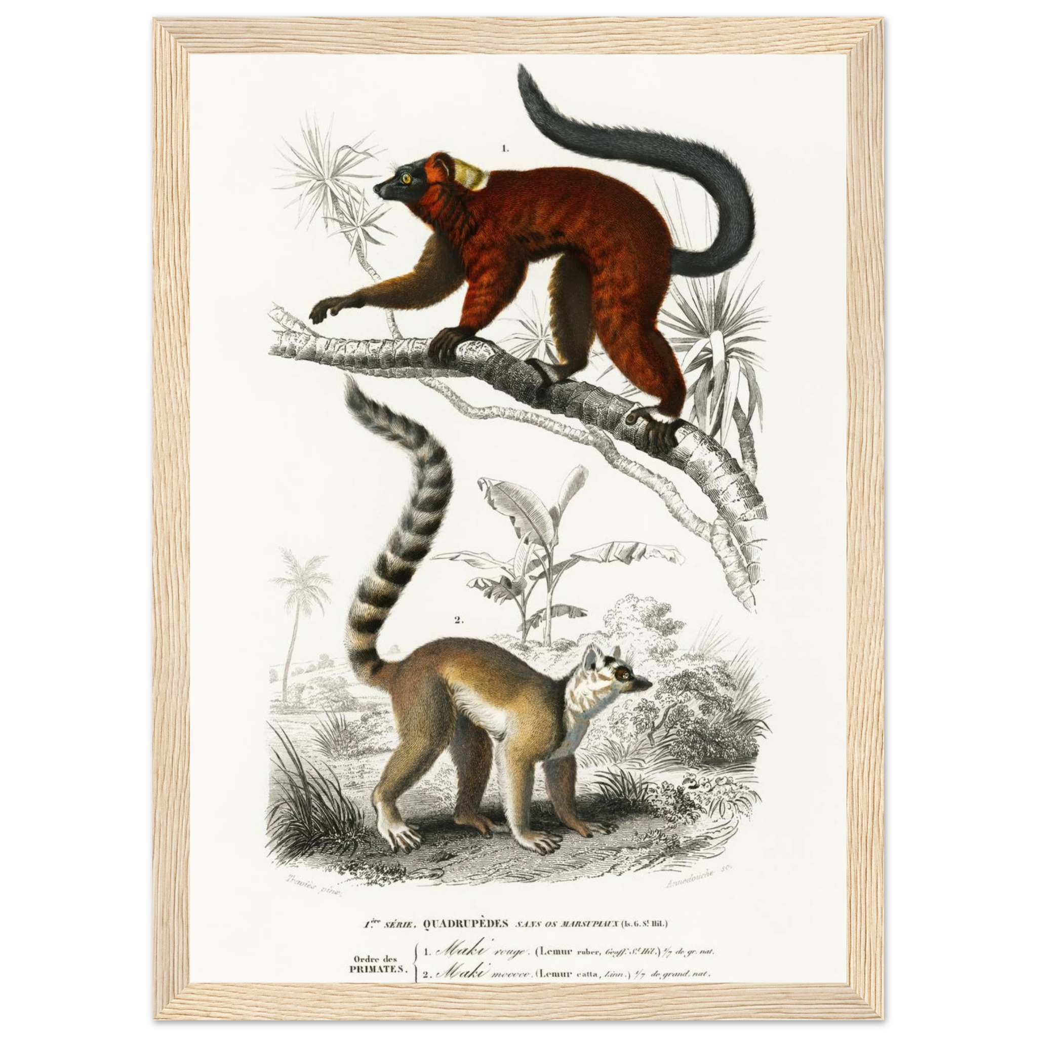 916f3e3d-c35f-4f63-a34f-c3b2d5b58938