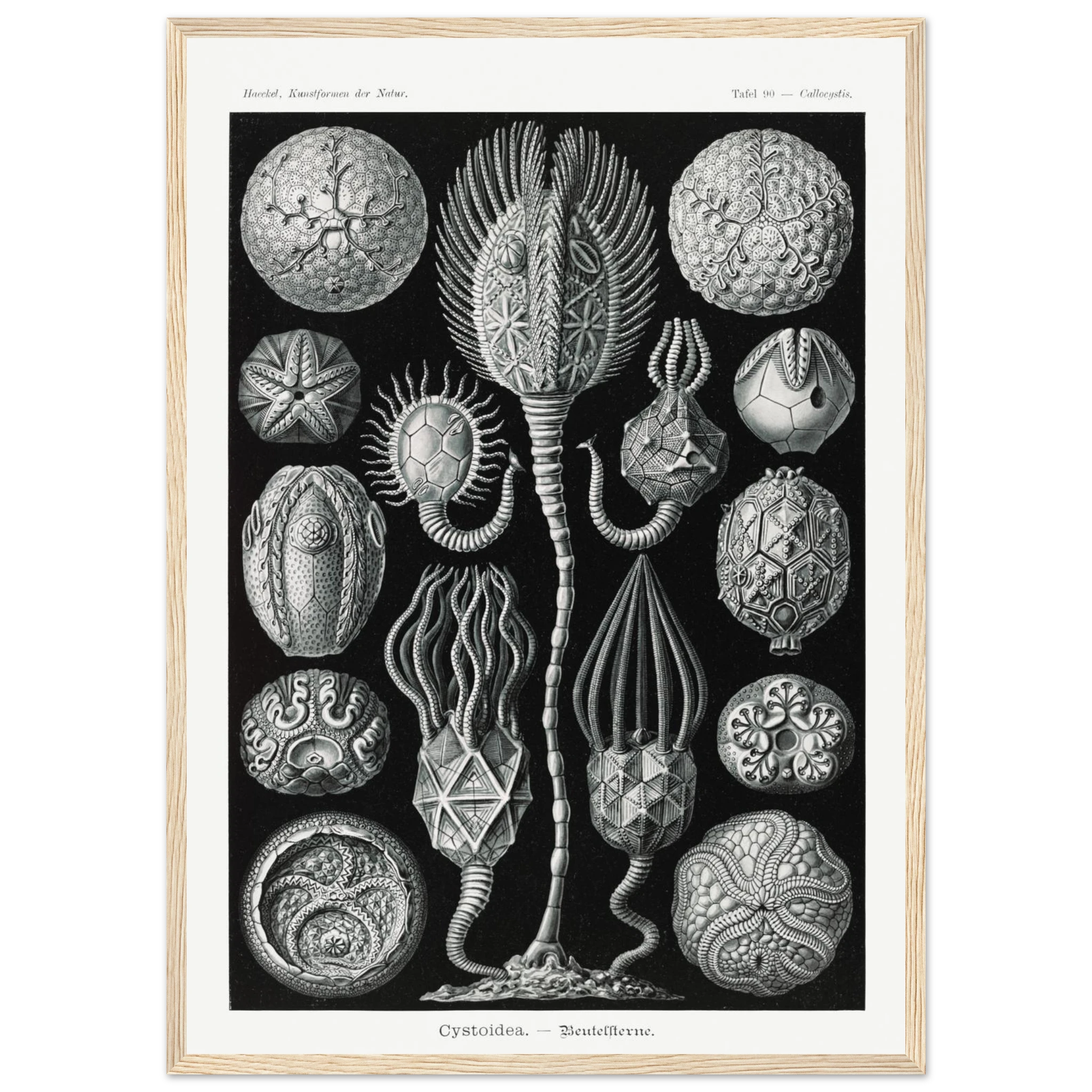 920f82f3-1c78-4eec-8c56-089932799654