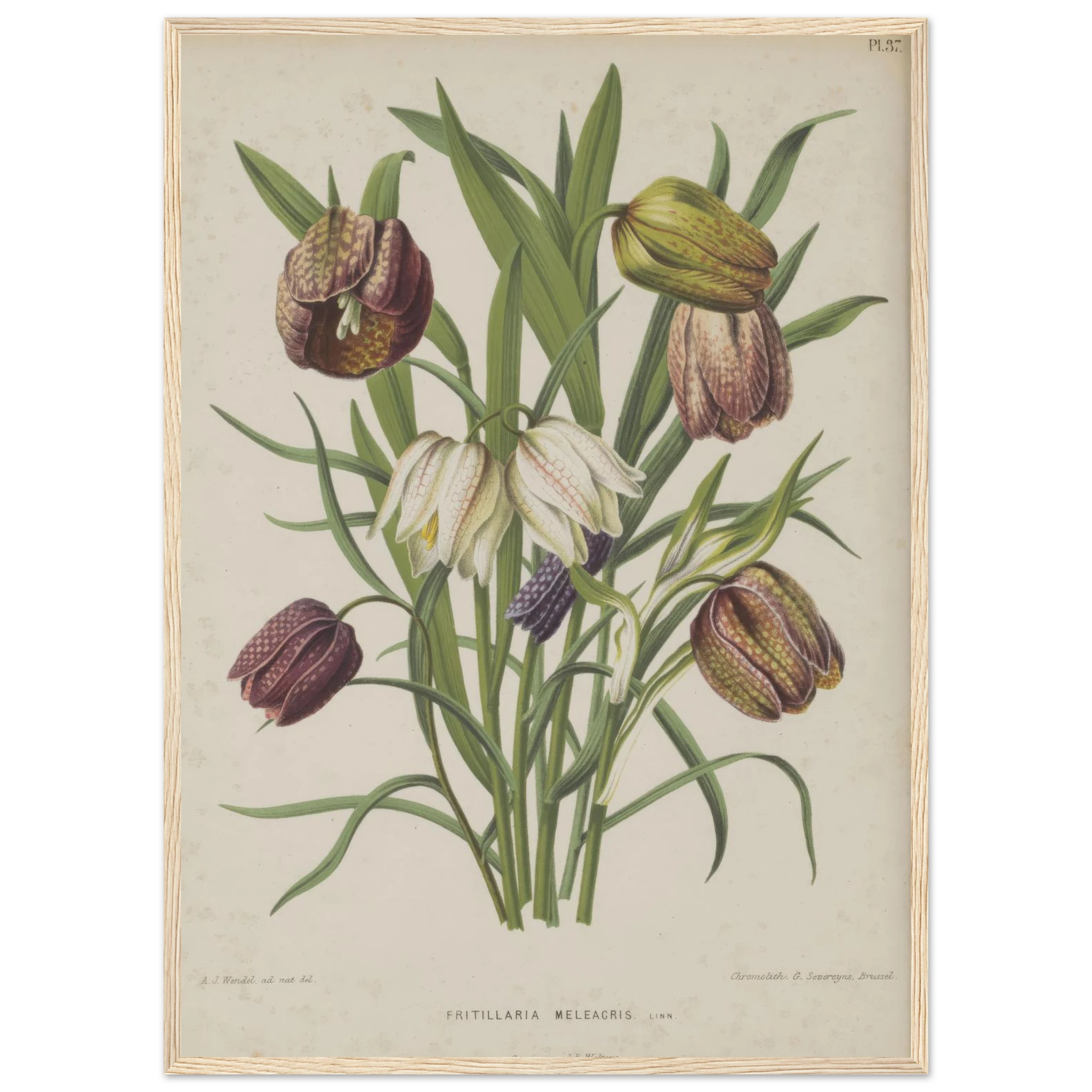 9283c861-5e19-433d-b20c-e7a837b51efa