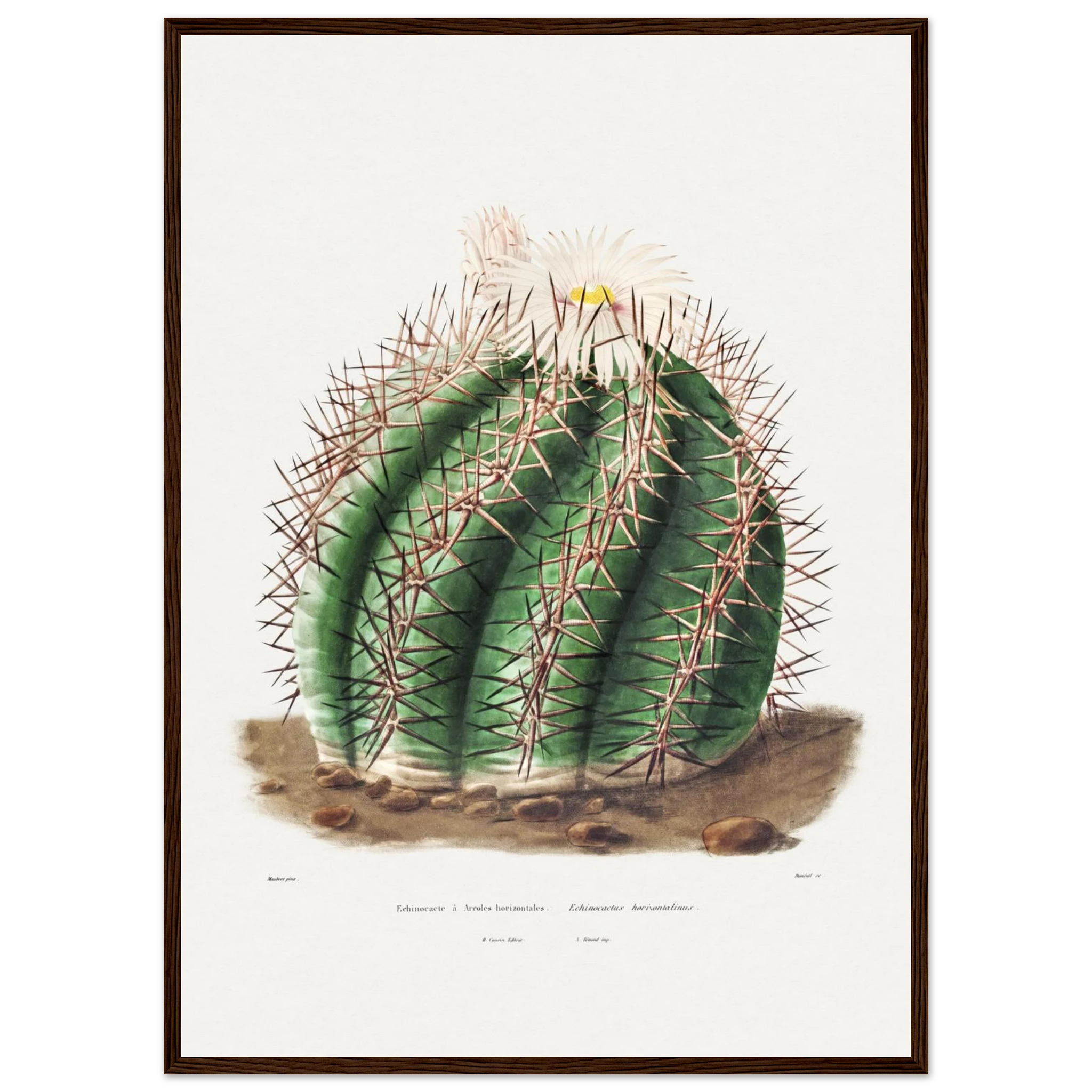 928d5252-cee7-4cdd-b1f1-3d20681ab226