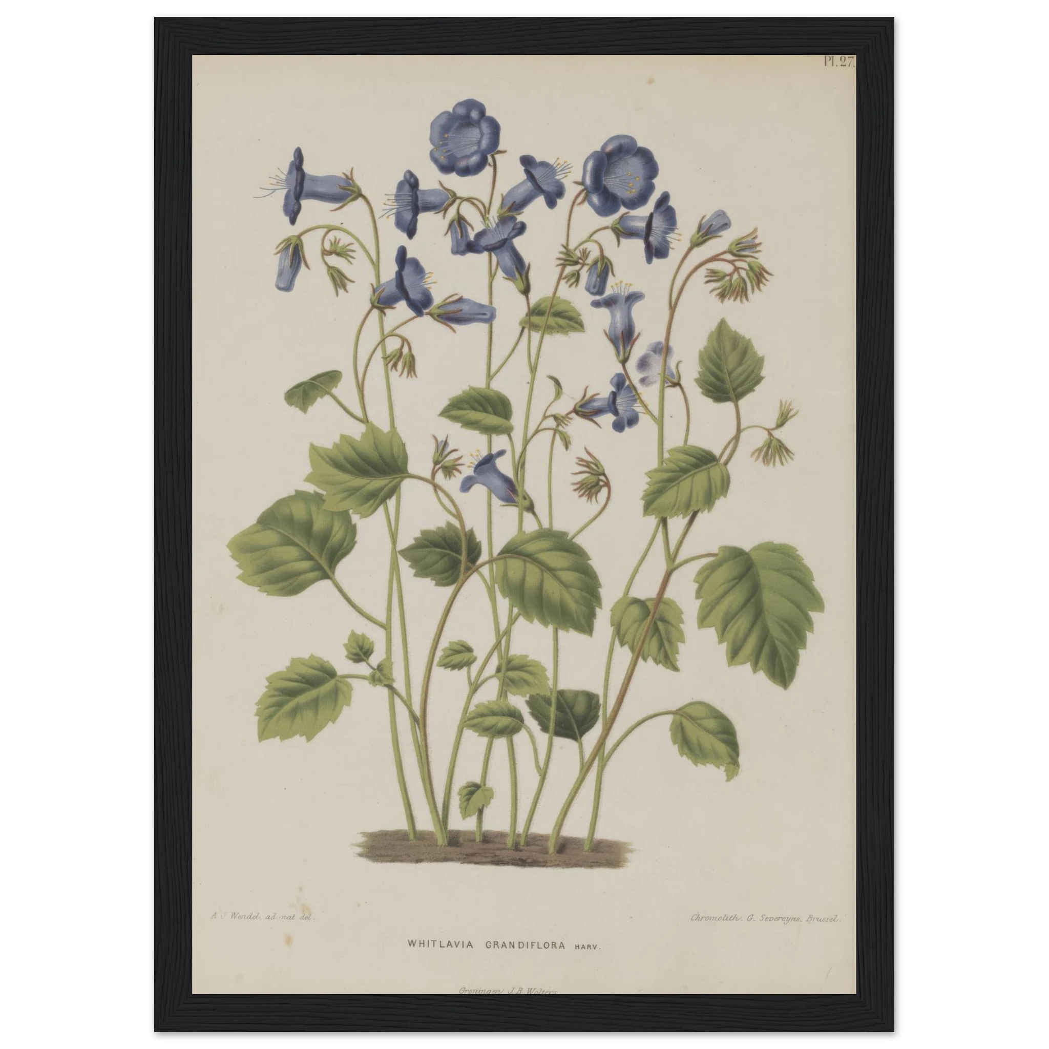 929a69a2-1ba8-49d0-90bc-ff22413212ac