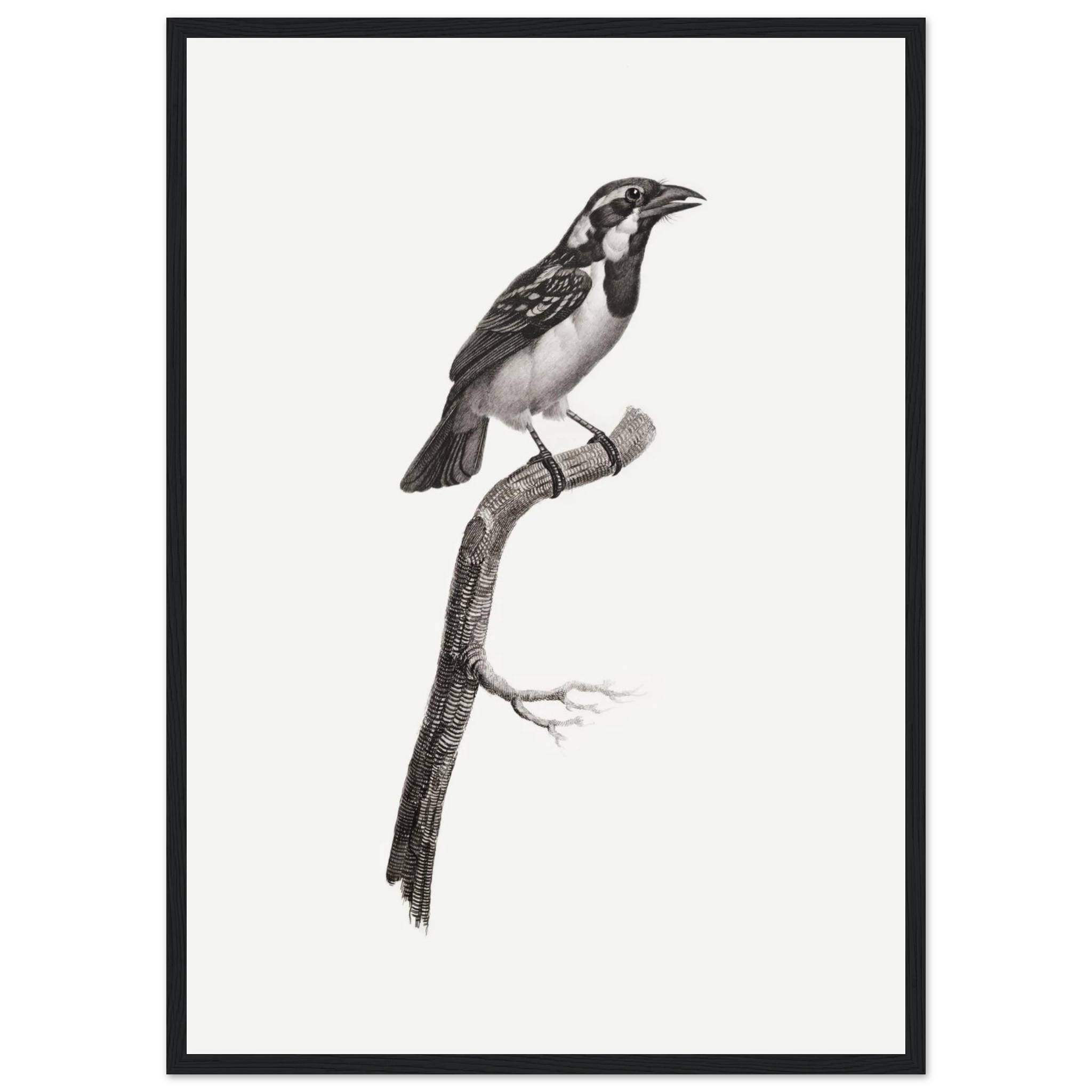 92aab2db-57e6-4f0c-bb68-d5ad06824043