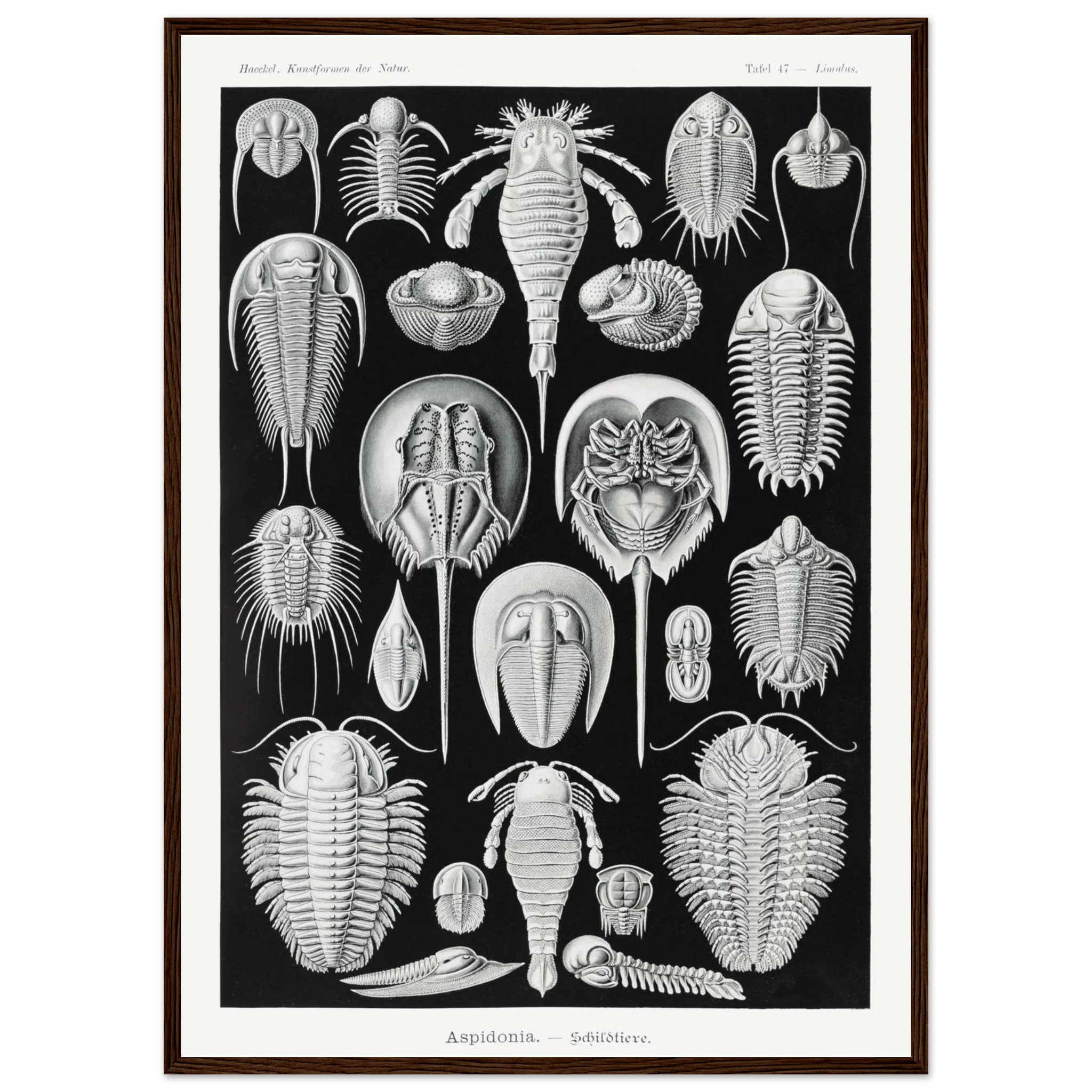 9313010f-7c91-4c4d-aea7-9feca865baf9