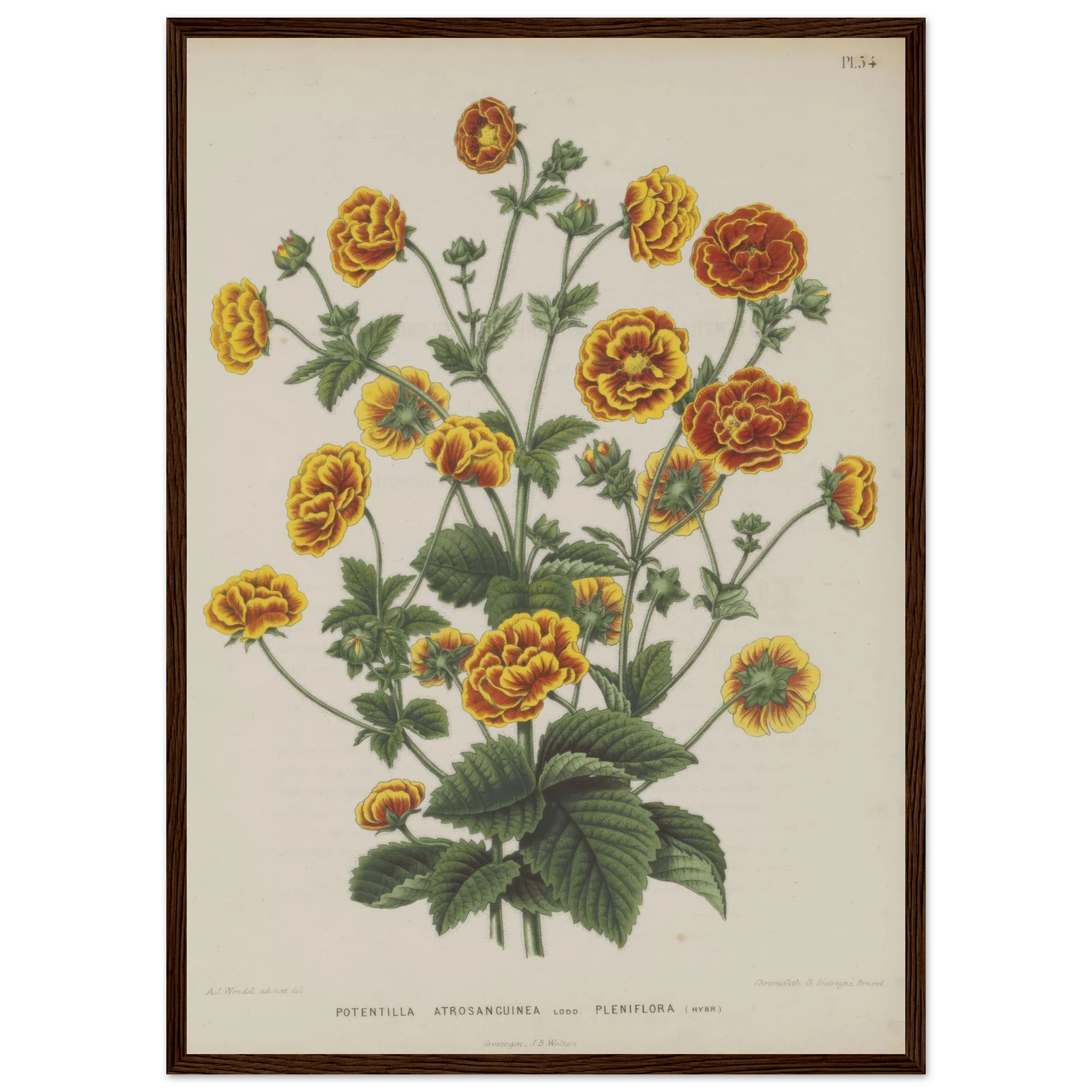 93438d4b-4e16-4cb4-b857-ea7df7b889dd