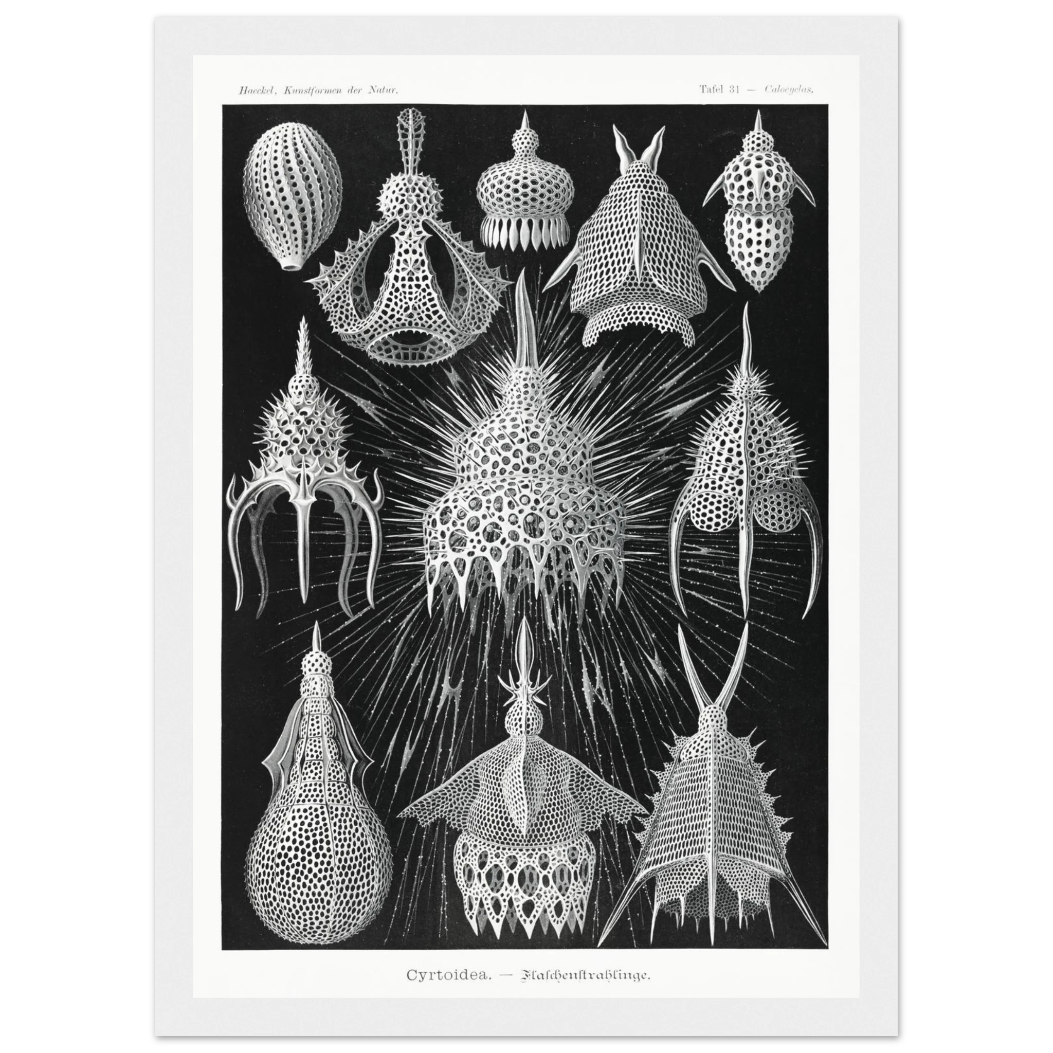 93459f9d-a006-4aea-a2d9-b6876d888960