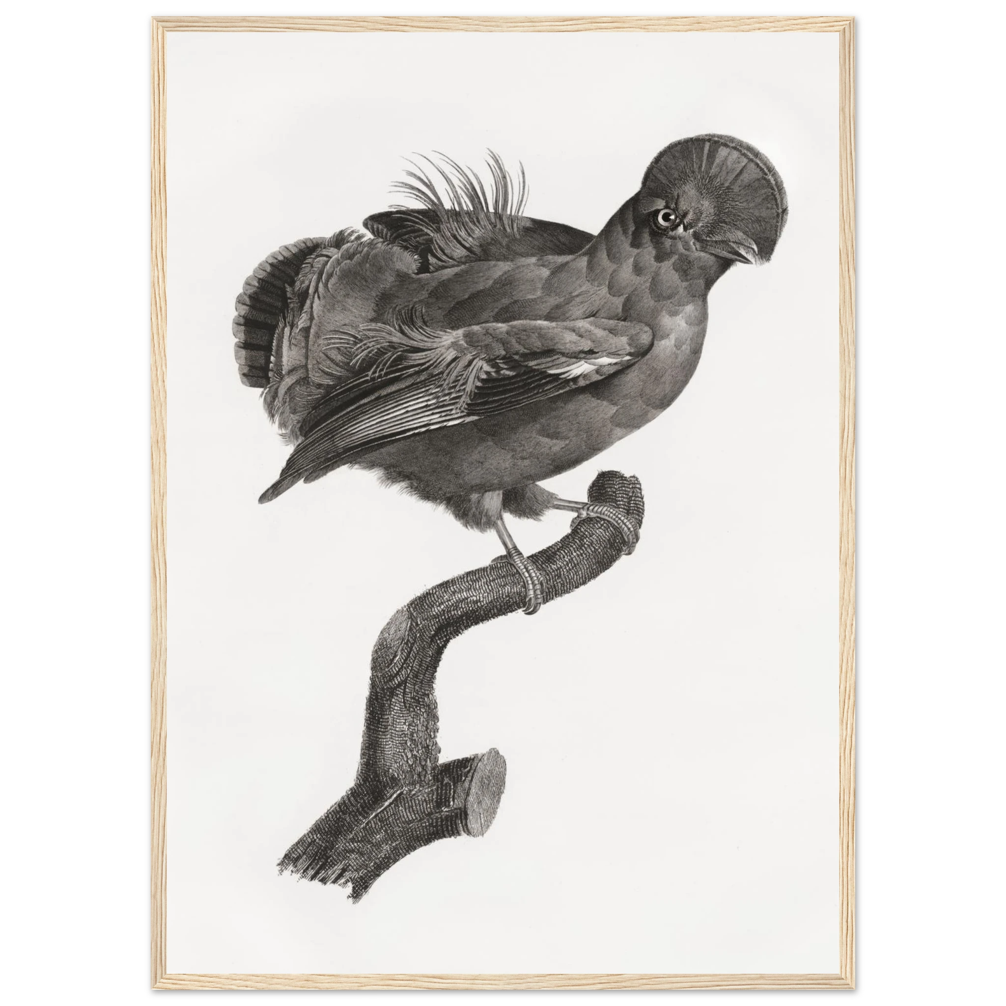 937414b2-4e1e-46c3-b0c5-85f2aea0a40c