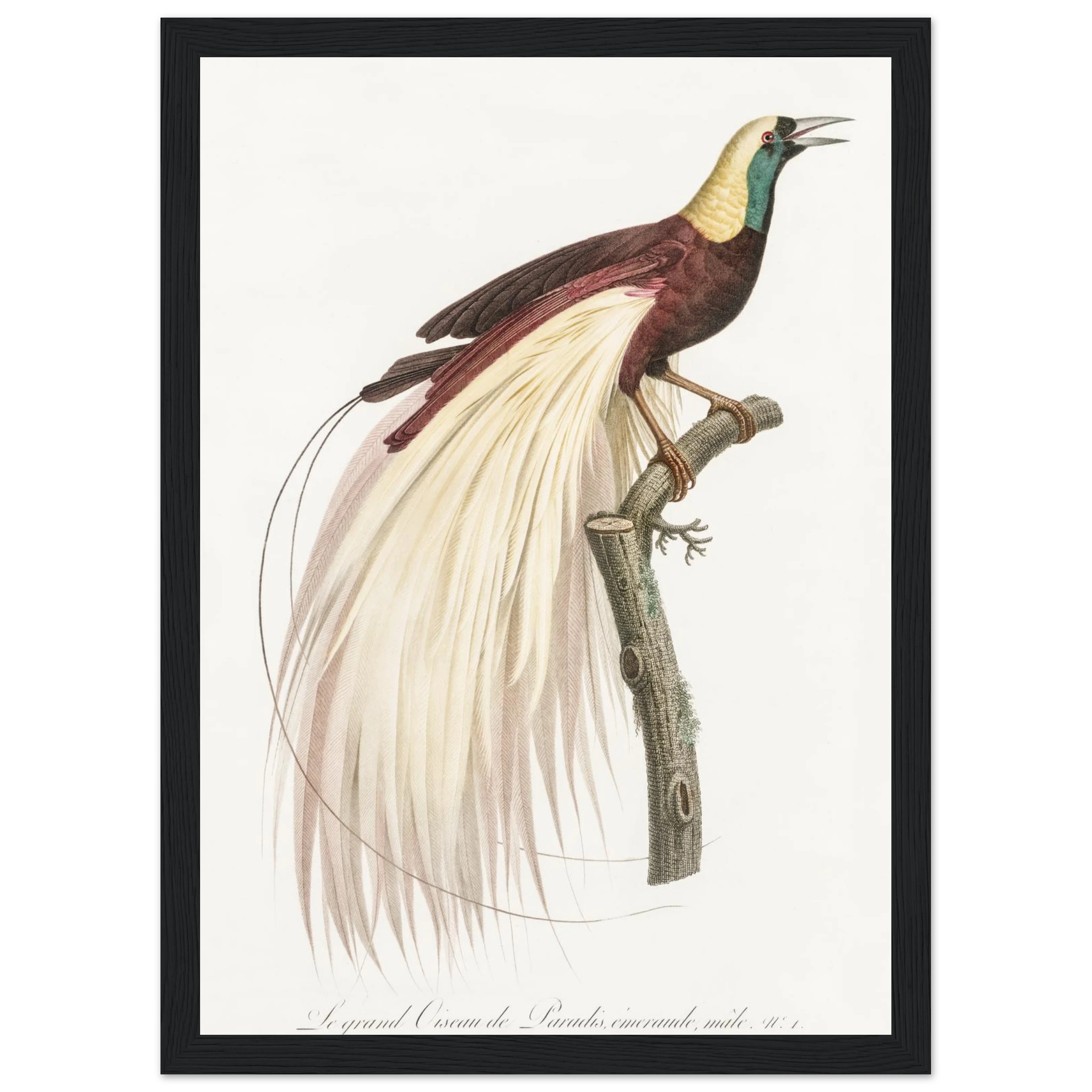 942470c1-38fe-422a-b56c-f81d3b2153e0