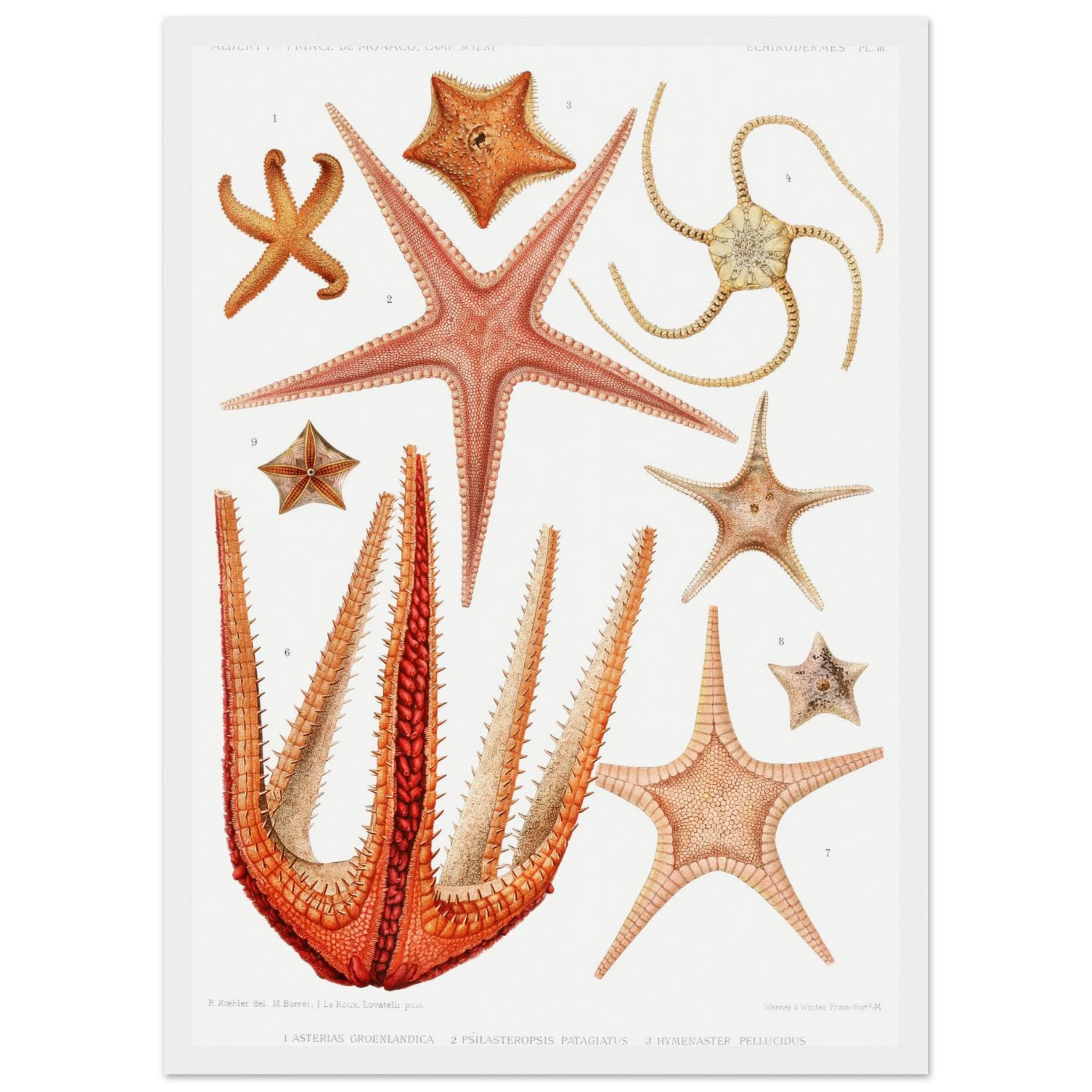 942f5d8a-4eae-4d47-86d7-1d3047626ba6