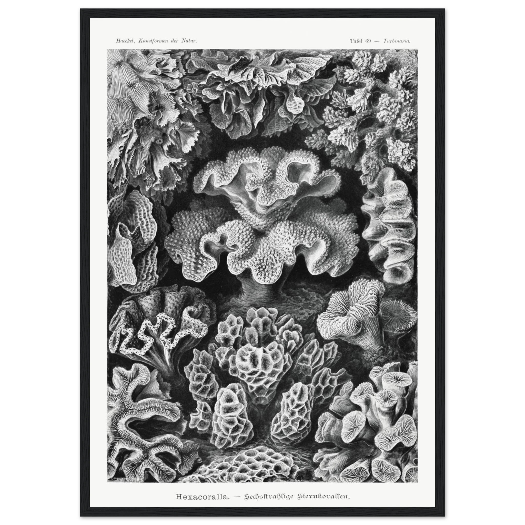 9436f00d-d970-41b7-b17d-d6866455d7ce