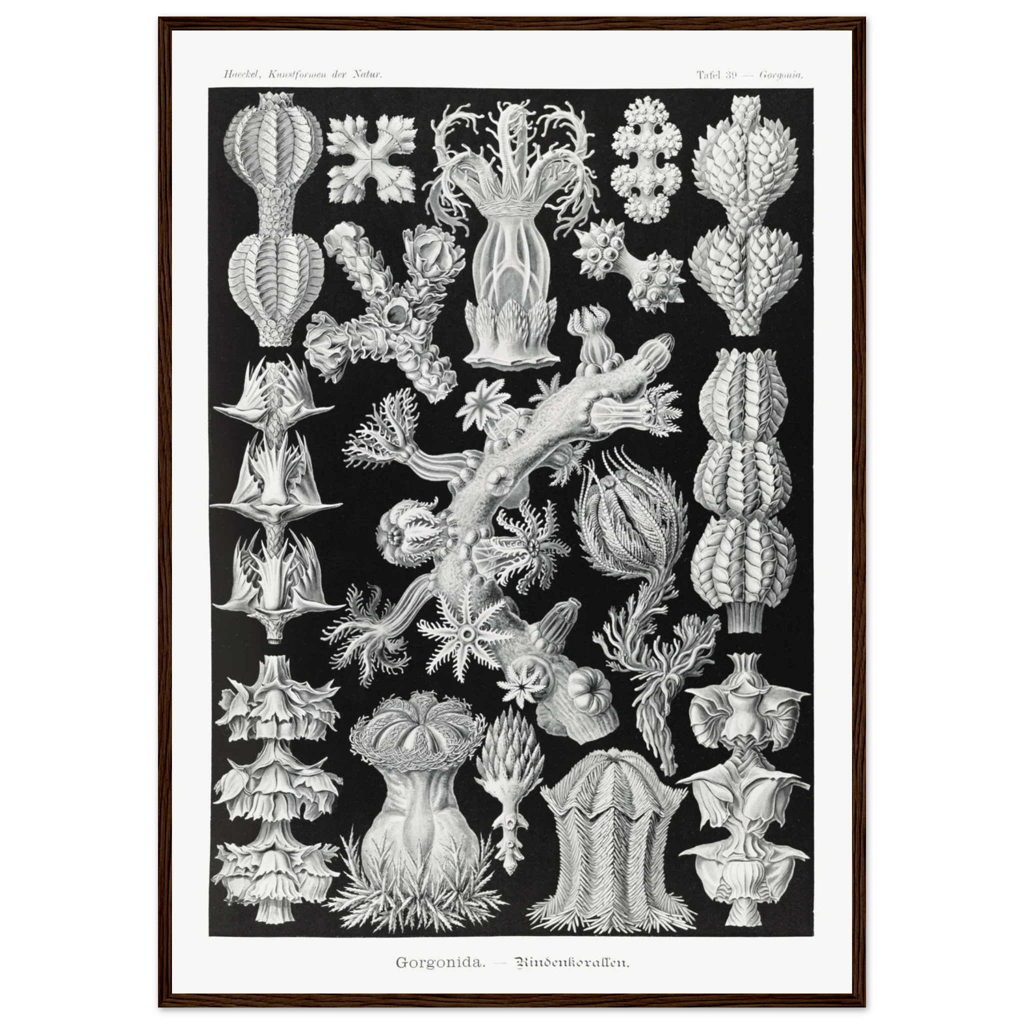 9478a3e0-0621-43ed-a66b-47354d3a0db0